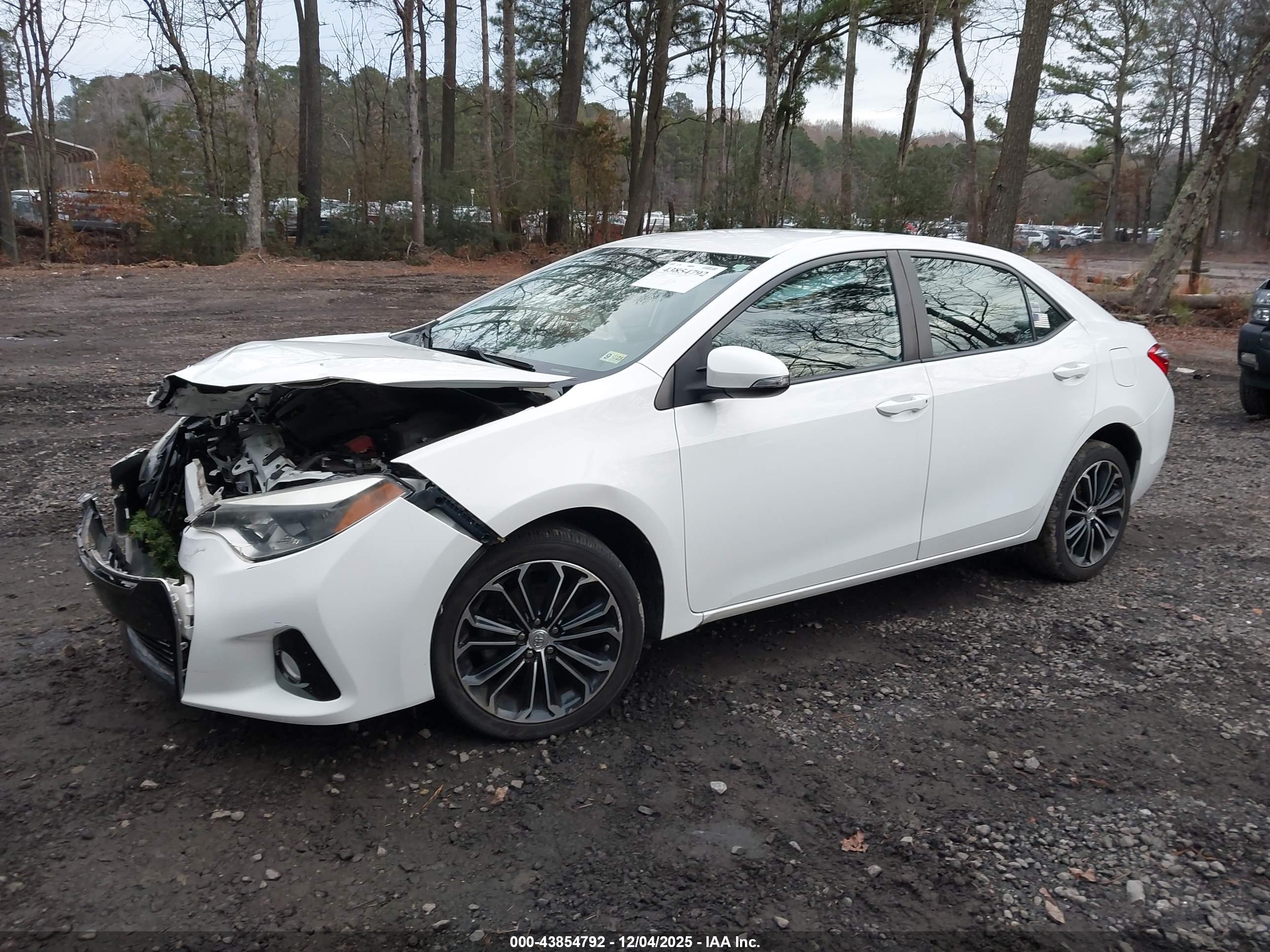 TOYOTA COROLLA image 2