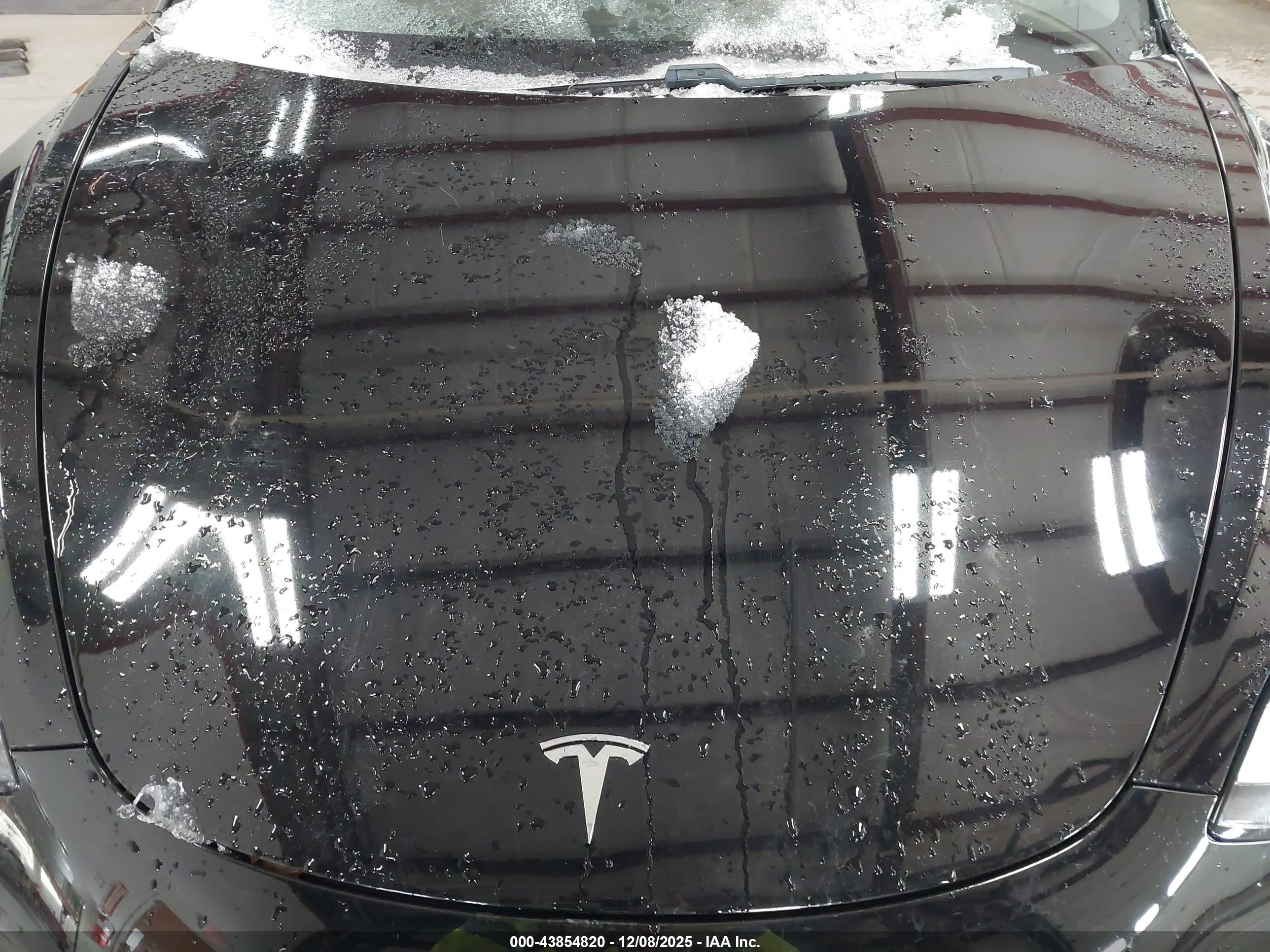 TESLA MODEL image 10
