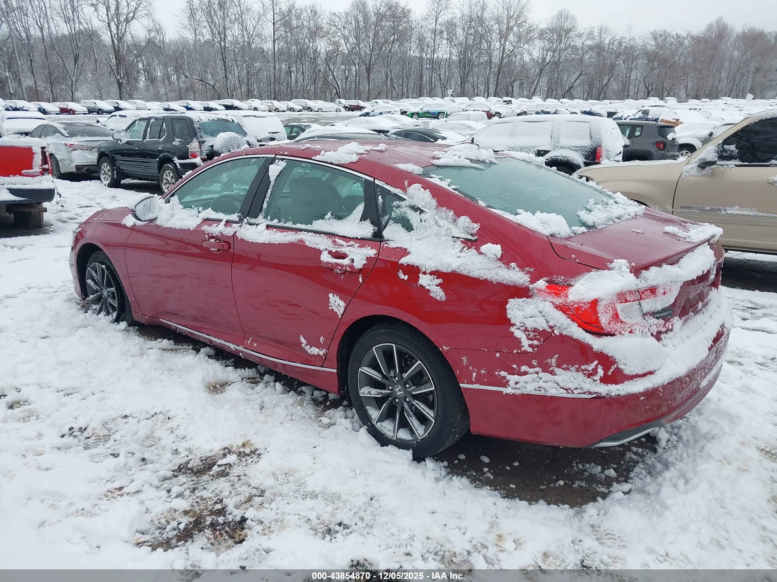 HONDA ACCORD image 3