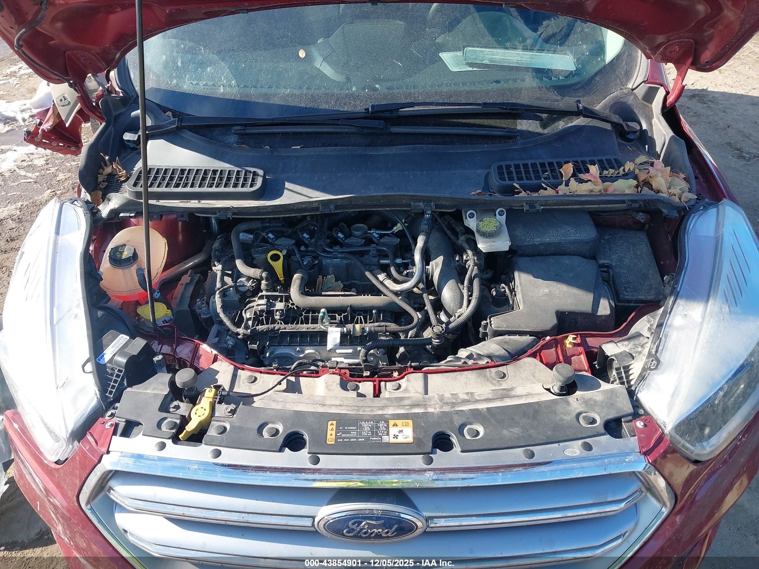FORD ESCAPE image 10