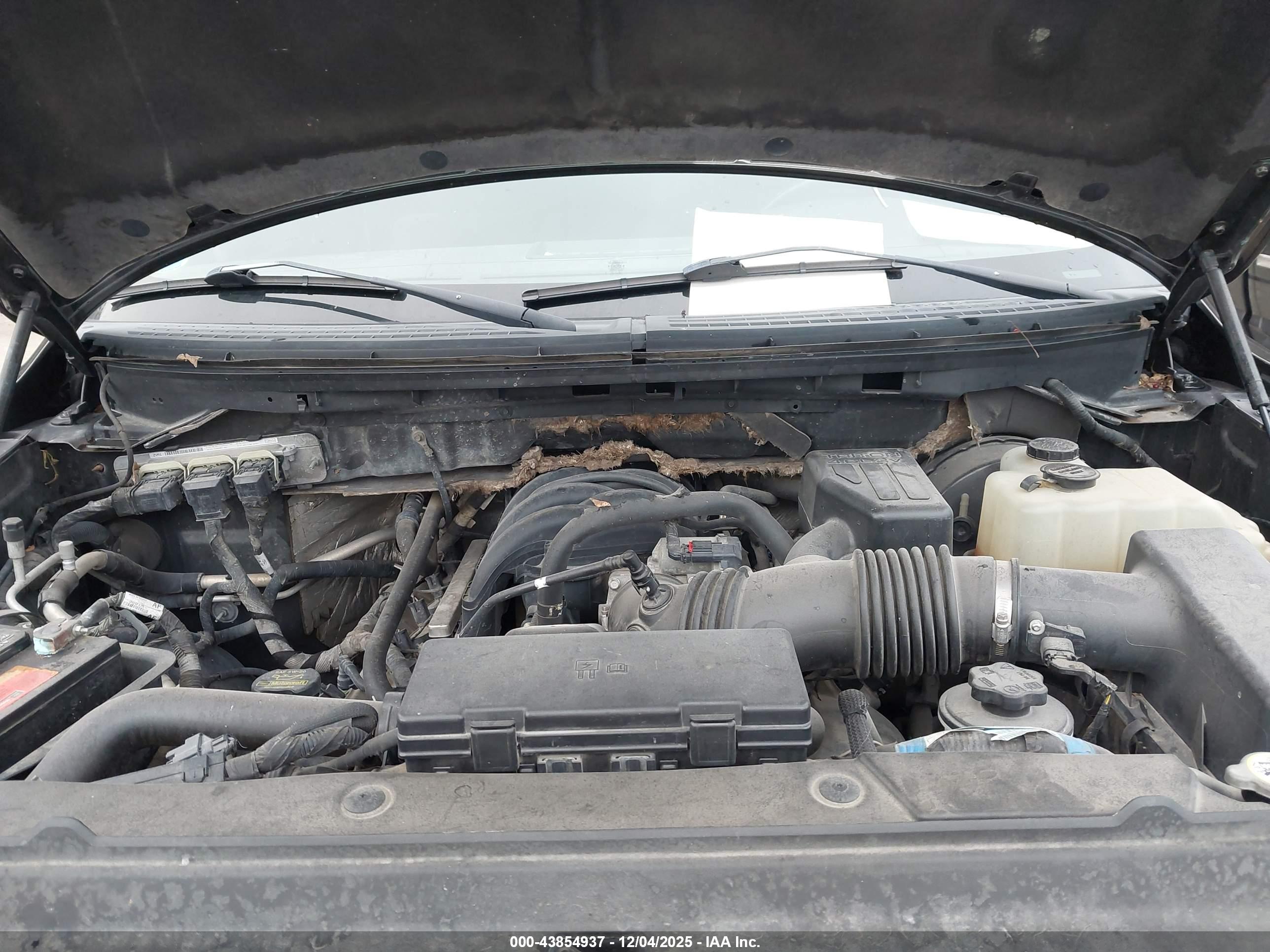 FORD F-150 image 10