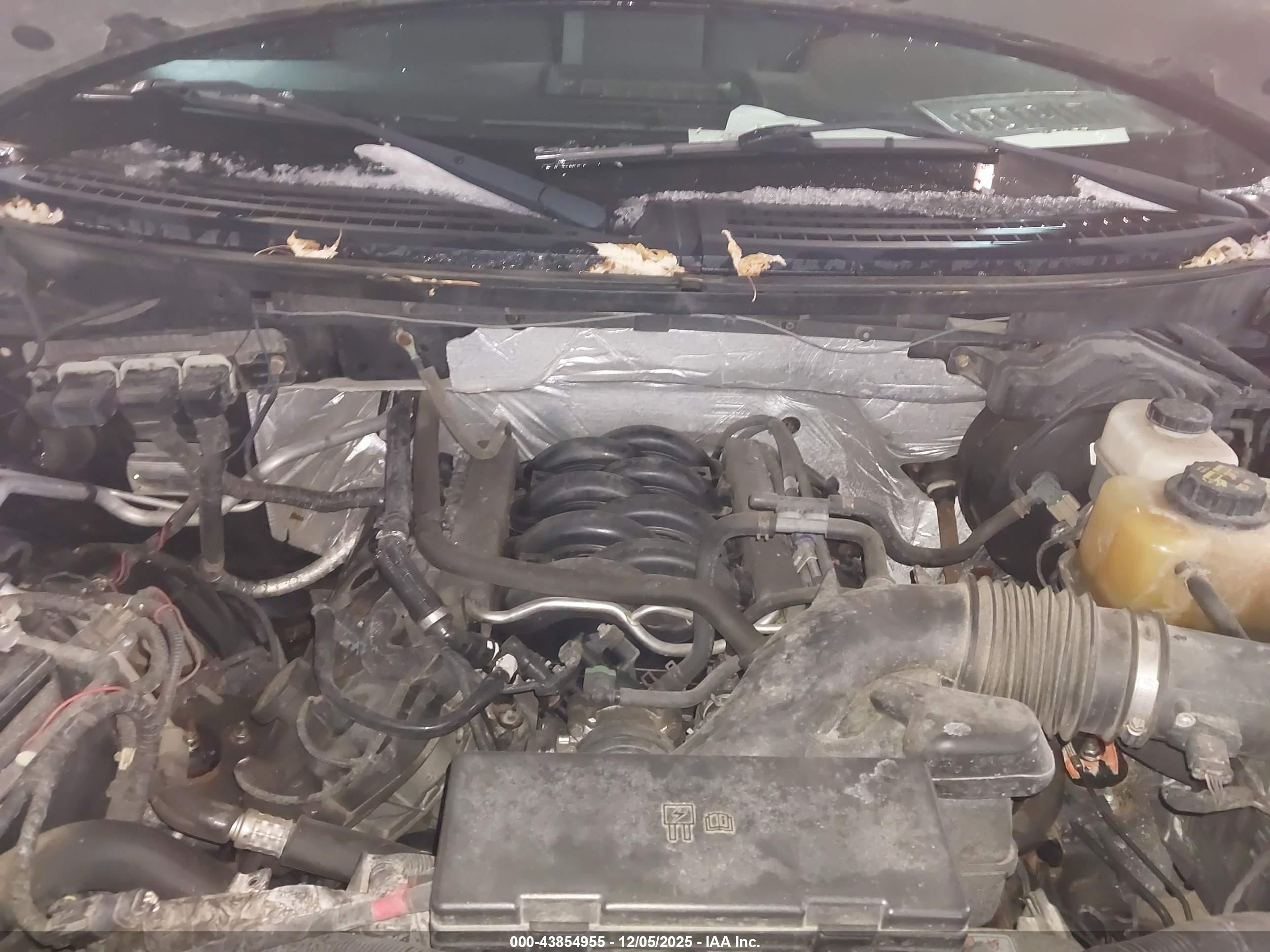 FORD F-150 image 10