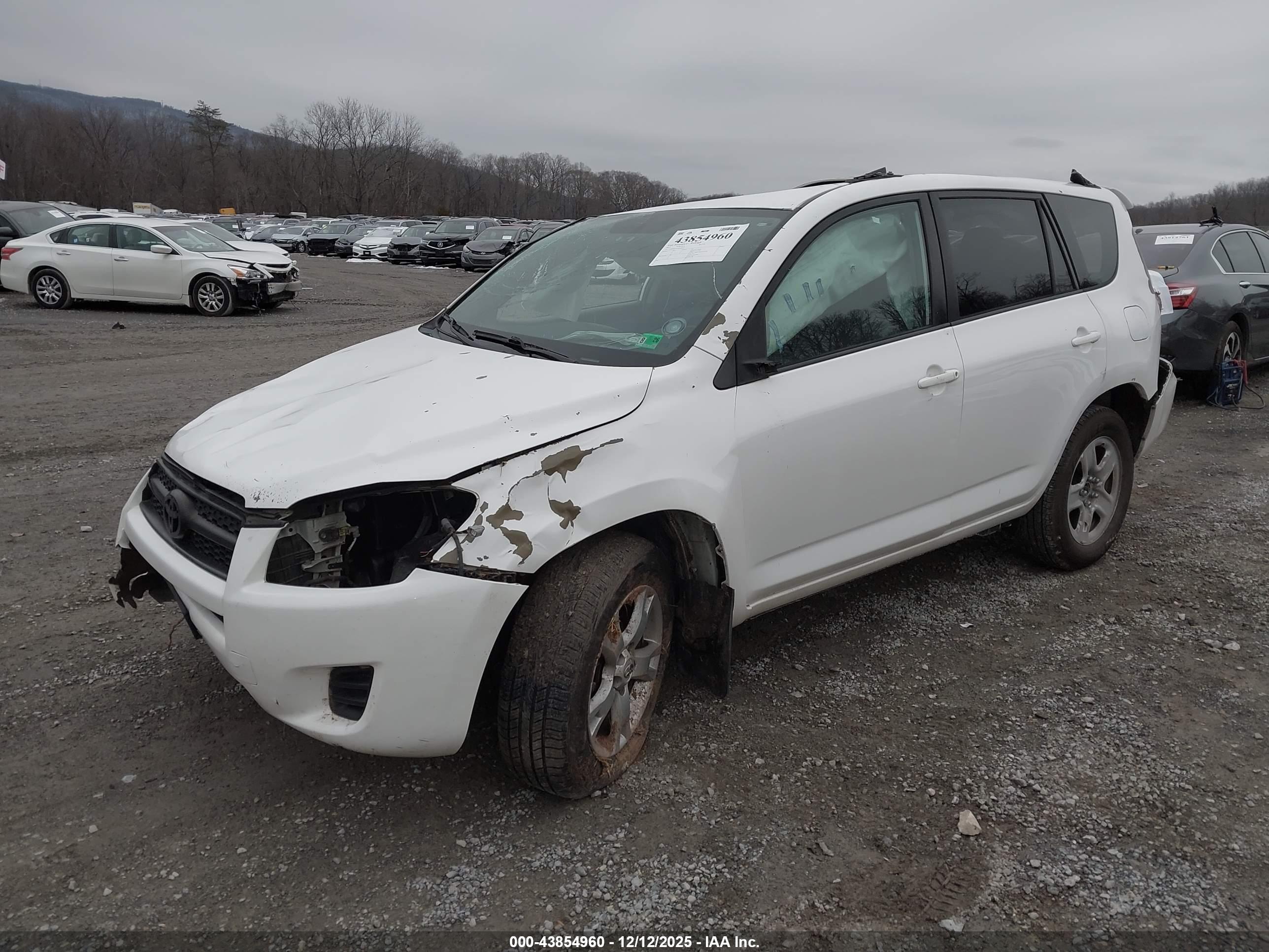 TOYOTA RAV4 image 2