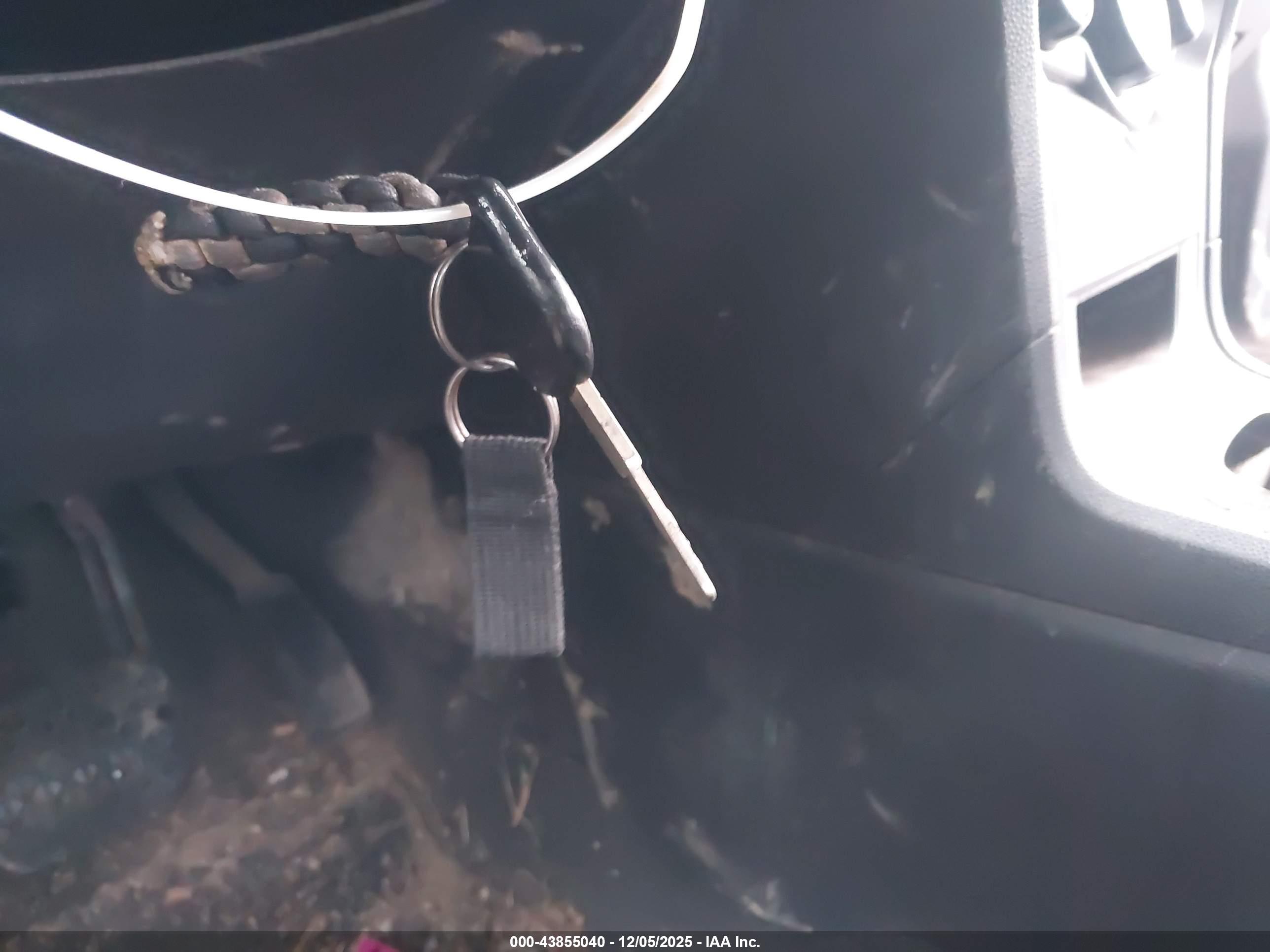 FORD FIESTA image 11