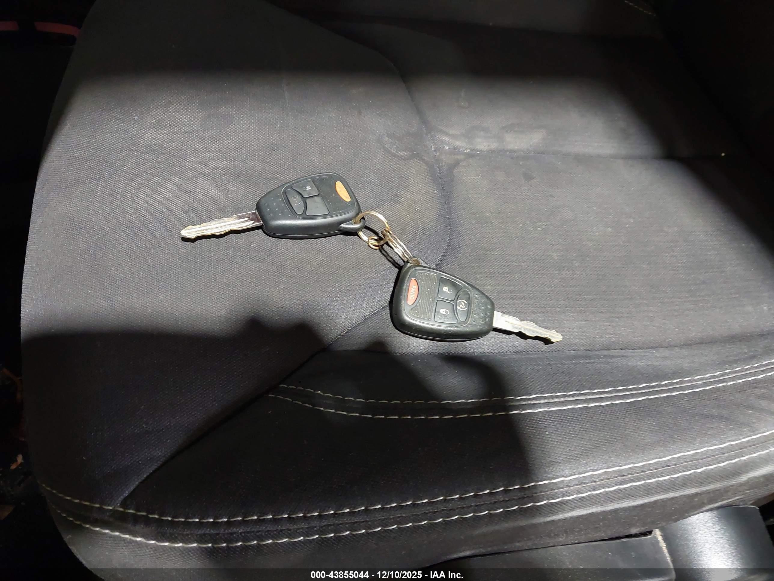 JEEP WRANGLER image 11