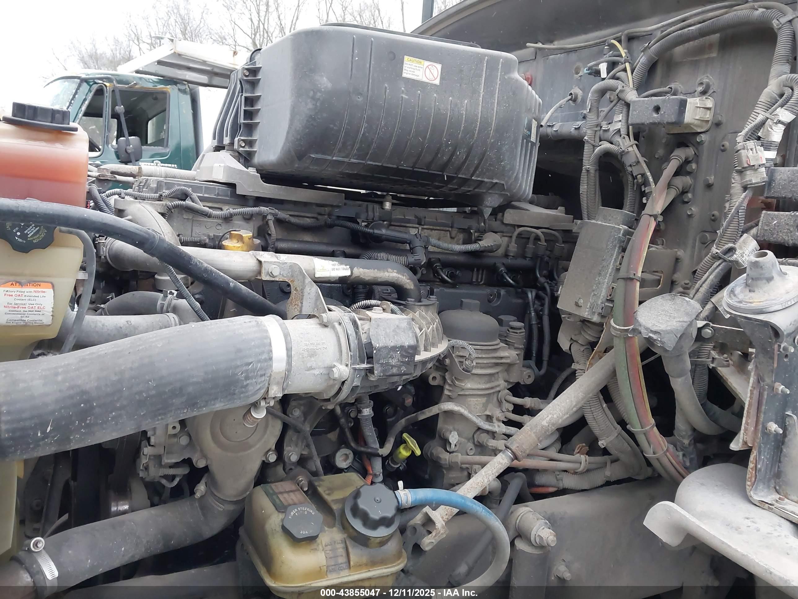 WESTERN STAR image 10