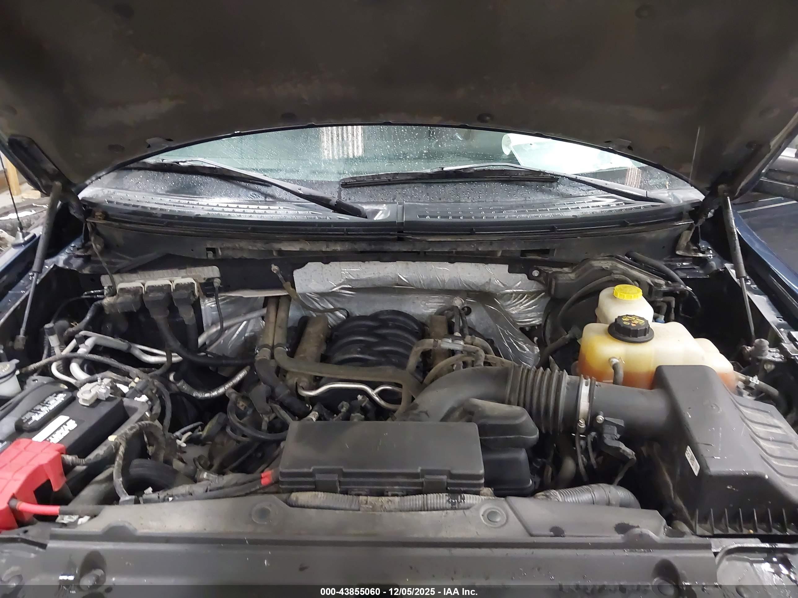 FORD F-150 image 10