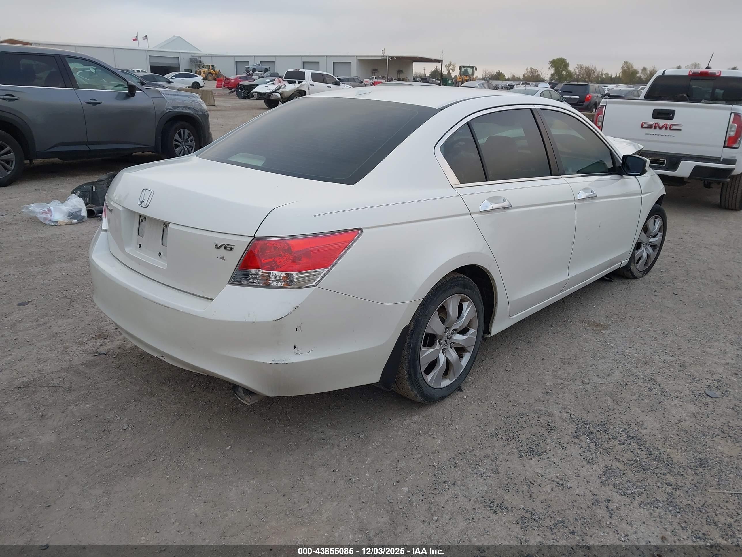 HONDA ACCORD image 4