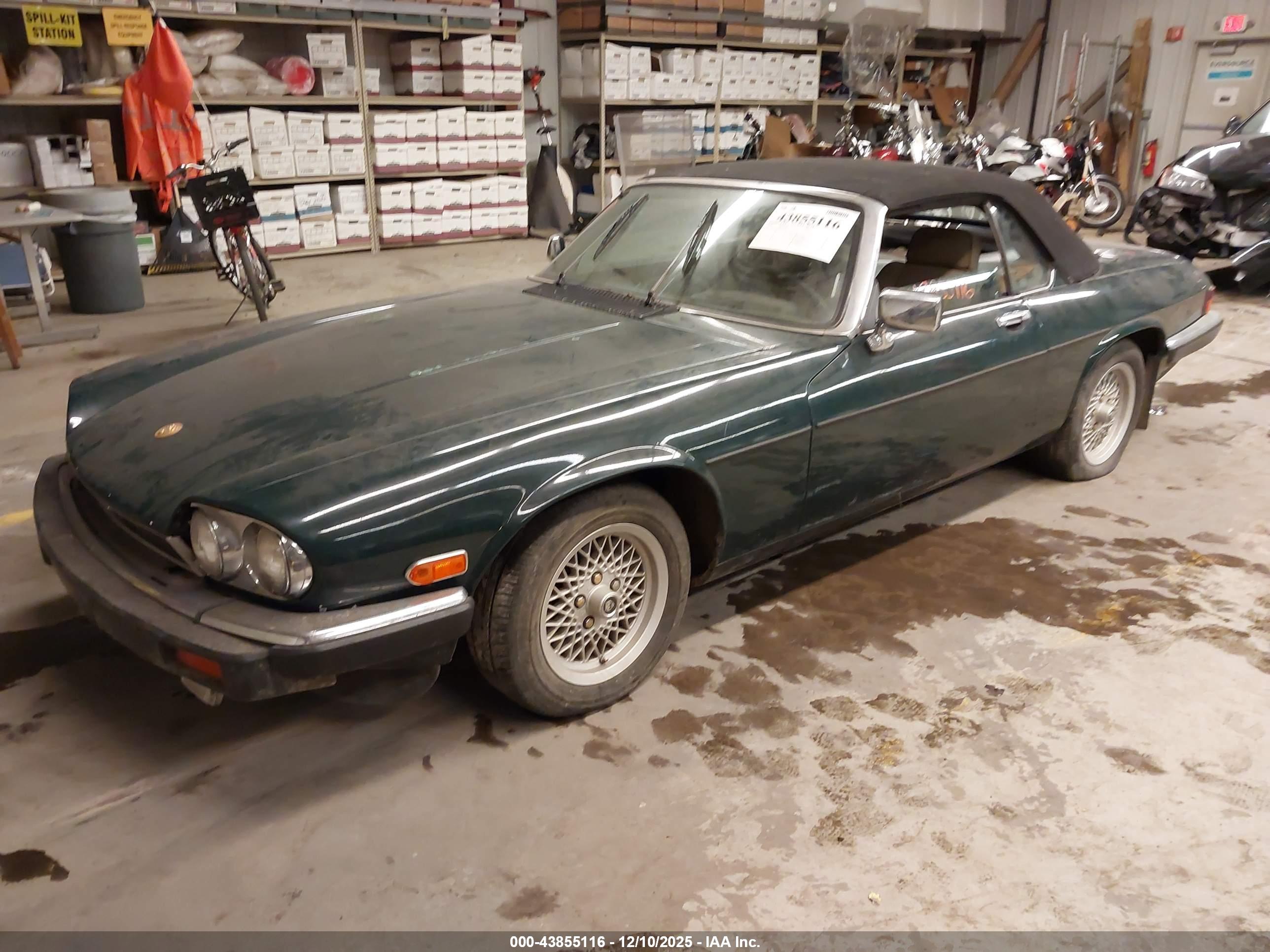 JAGUAR XJS image 2
