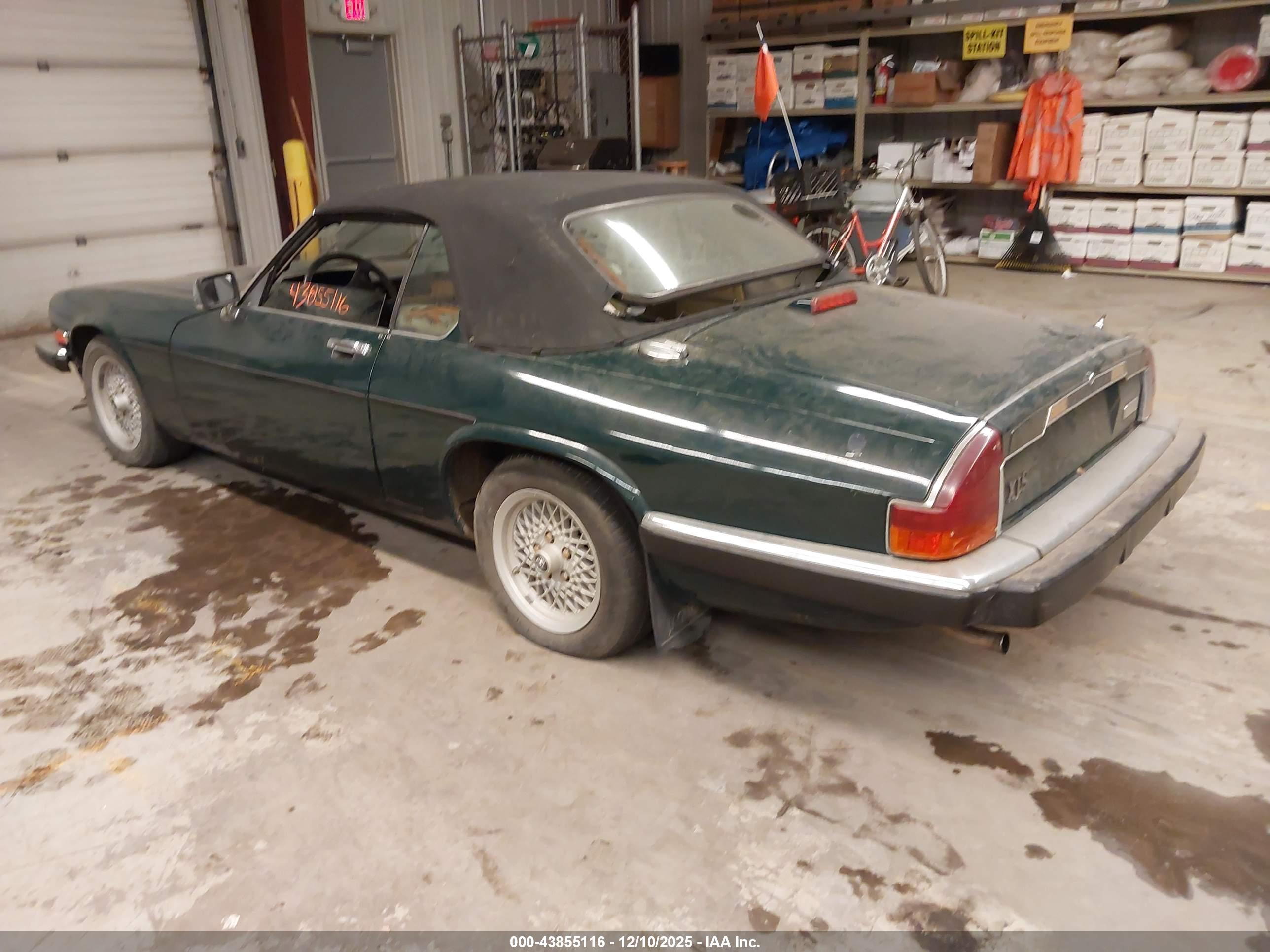 JAGUAR XJS image 3