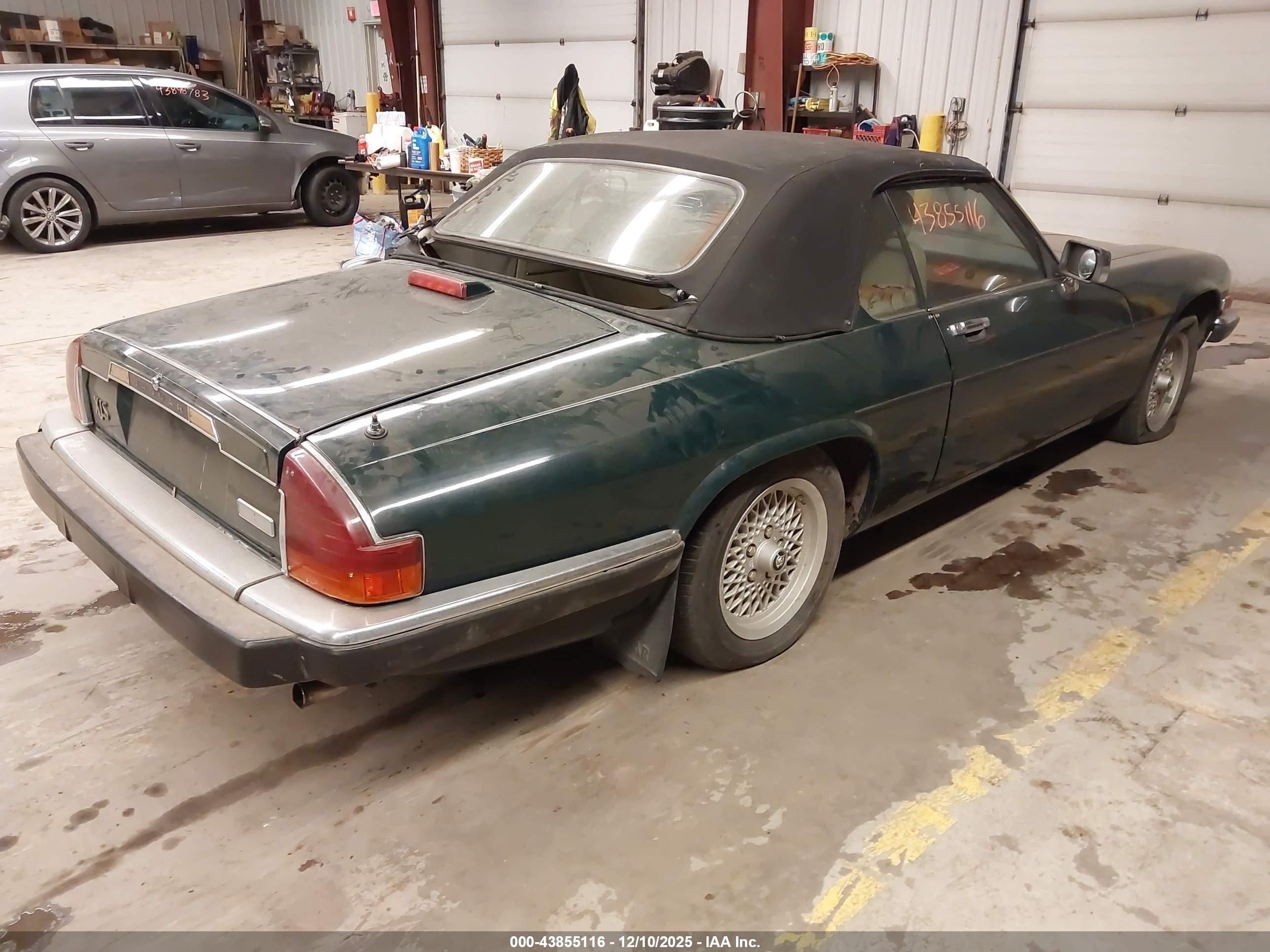 JAGUAR XJS image 4