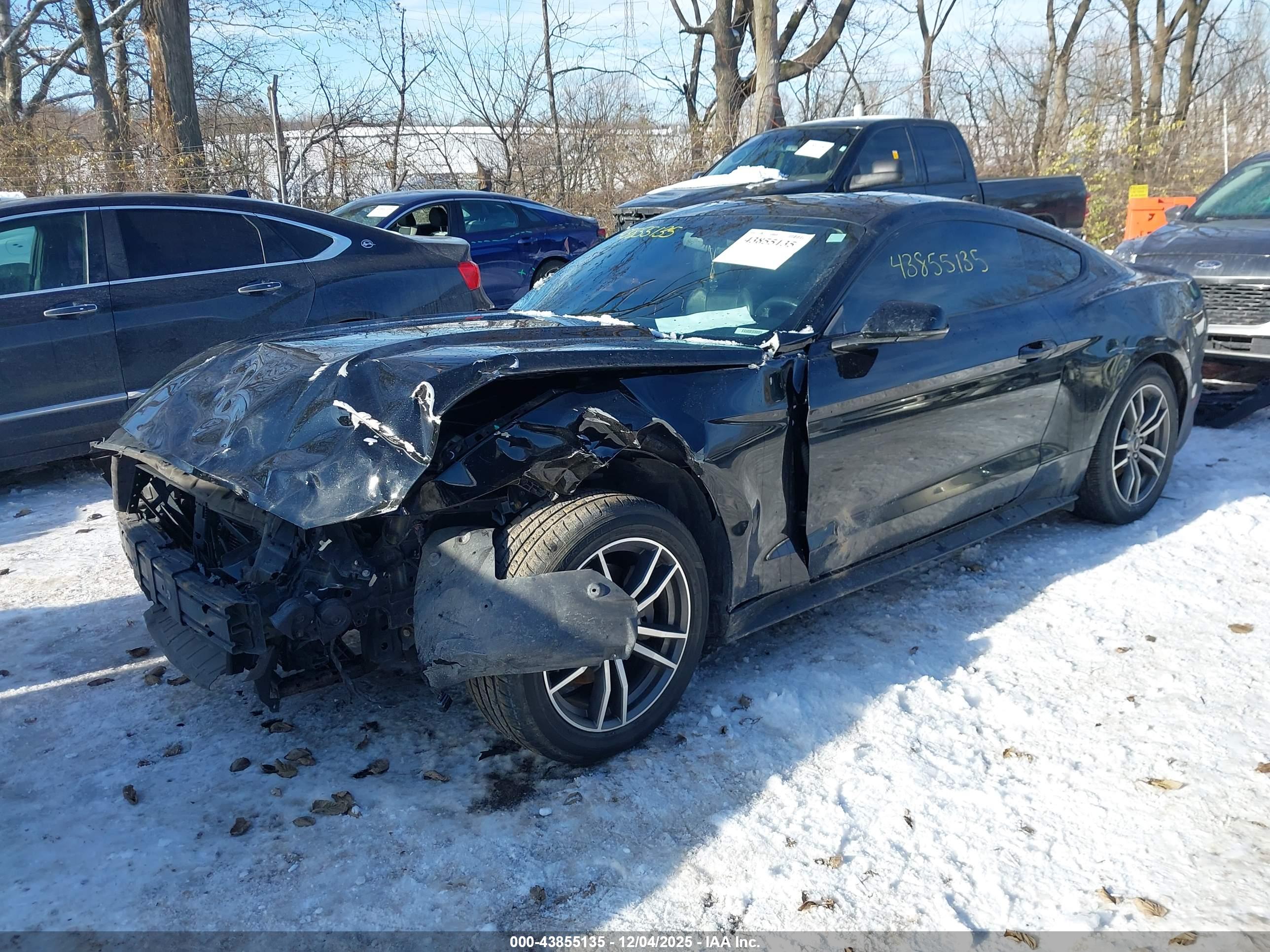 FORD MUSTANG image 2