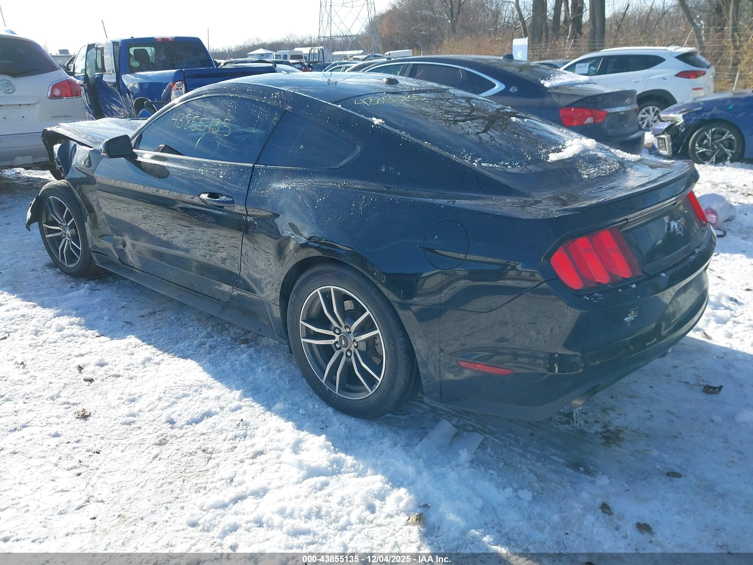 FORD MUSTANG image 3