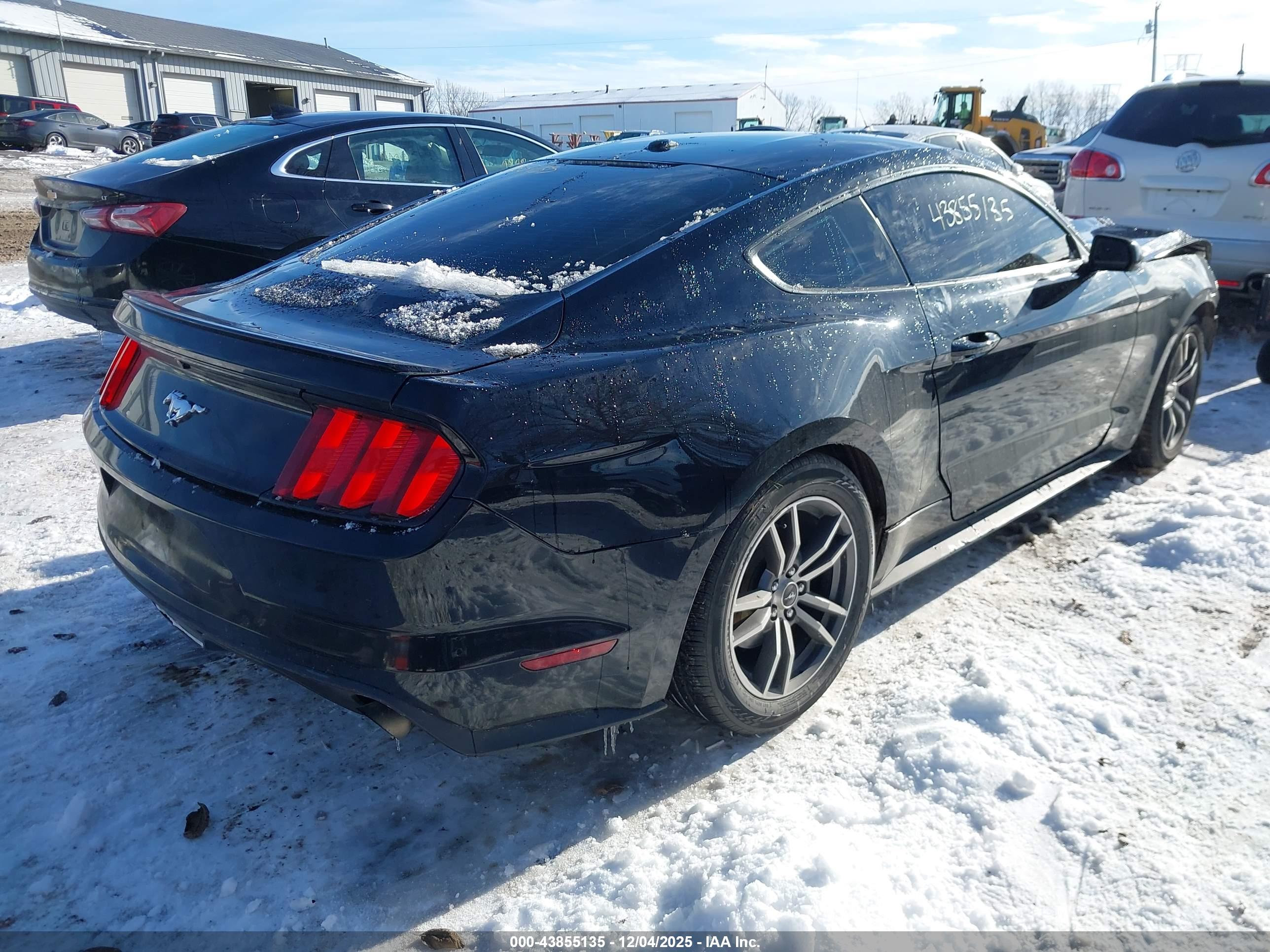 FORD MUSTANG image 4