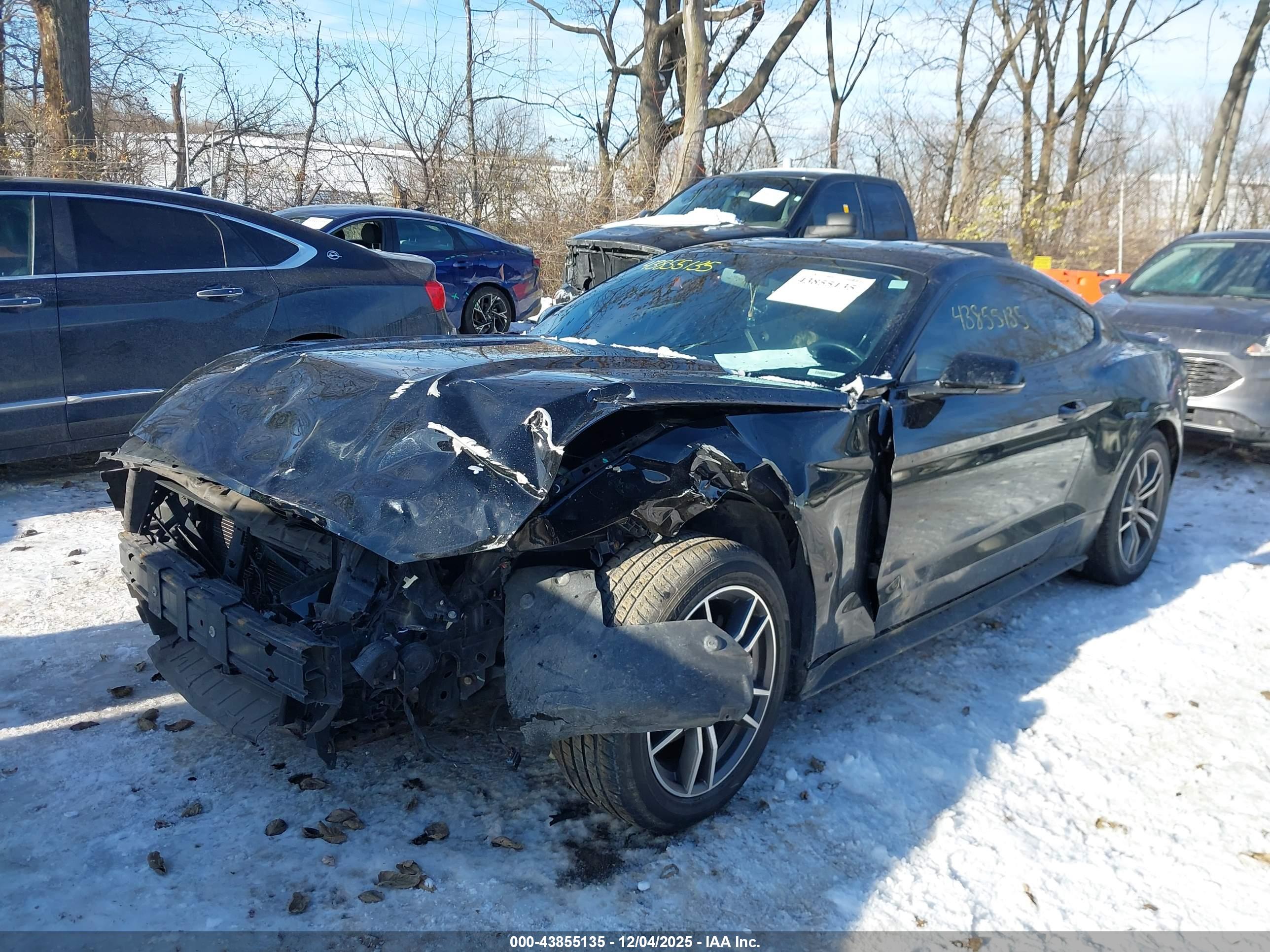 FORD MUSTANG image 6