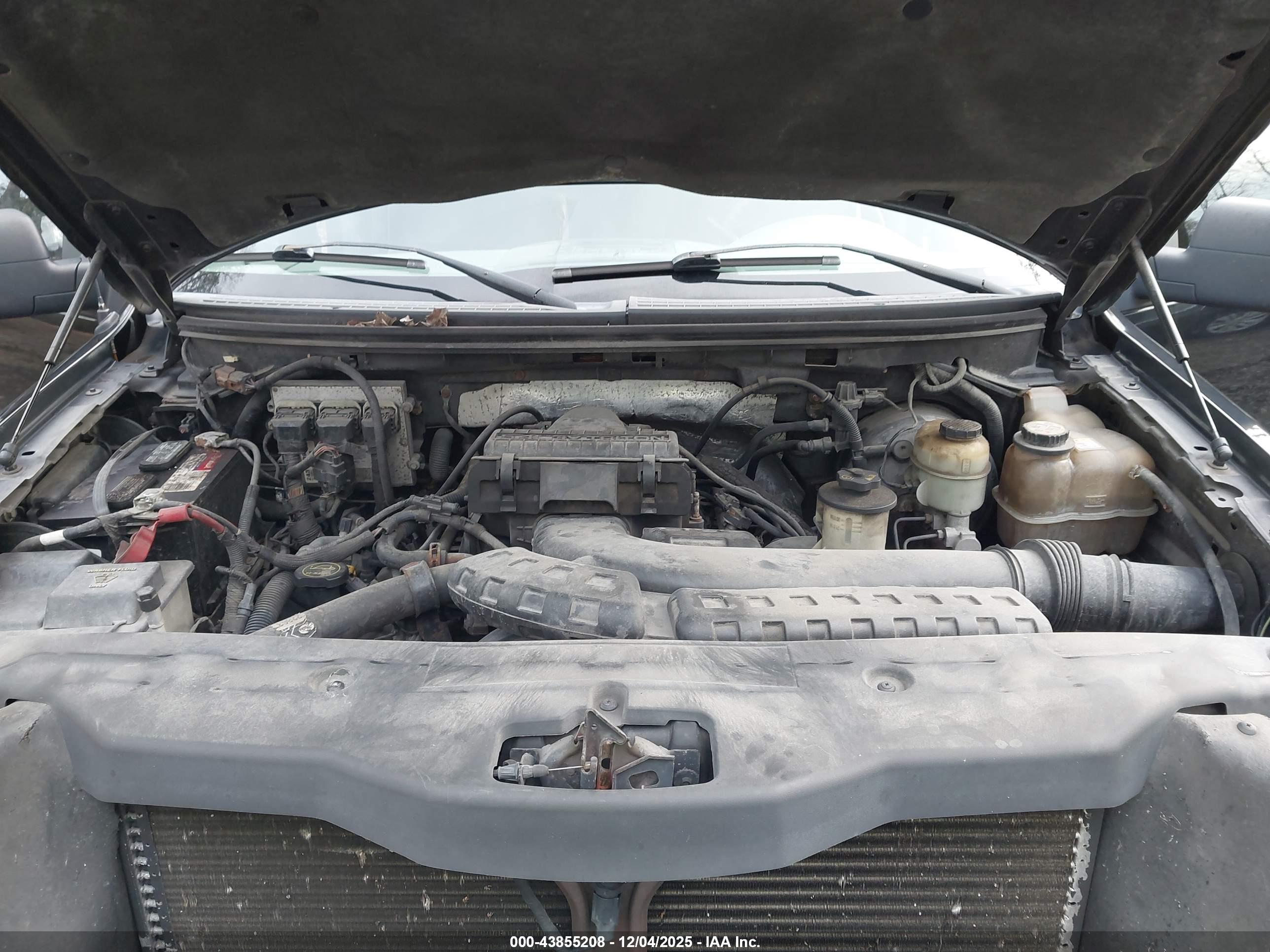 FORD F-150 image 10