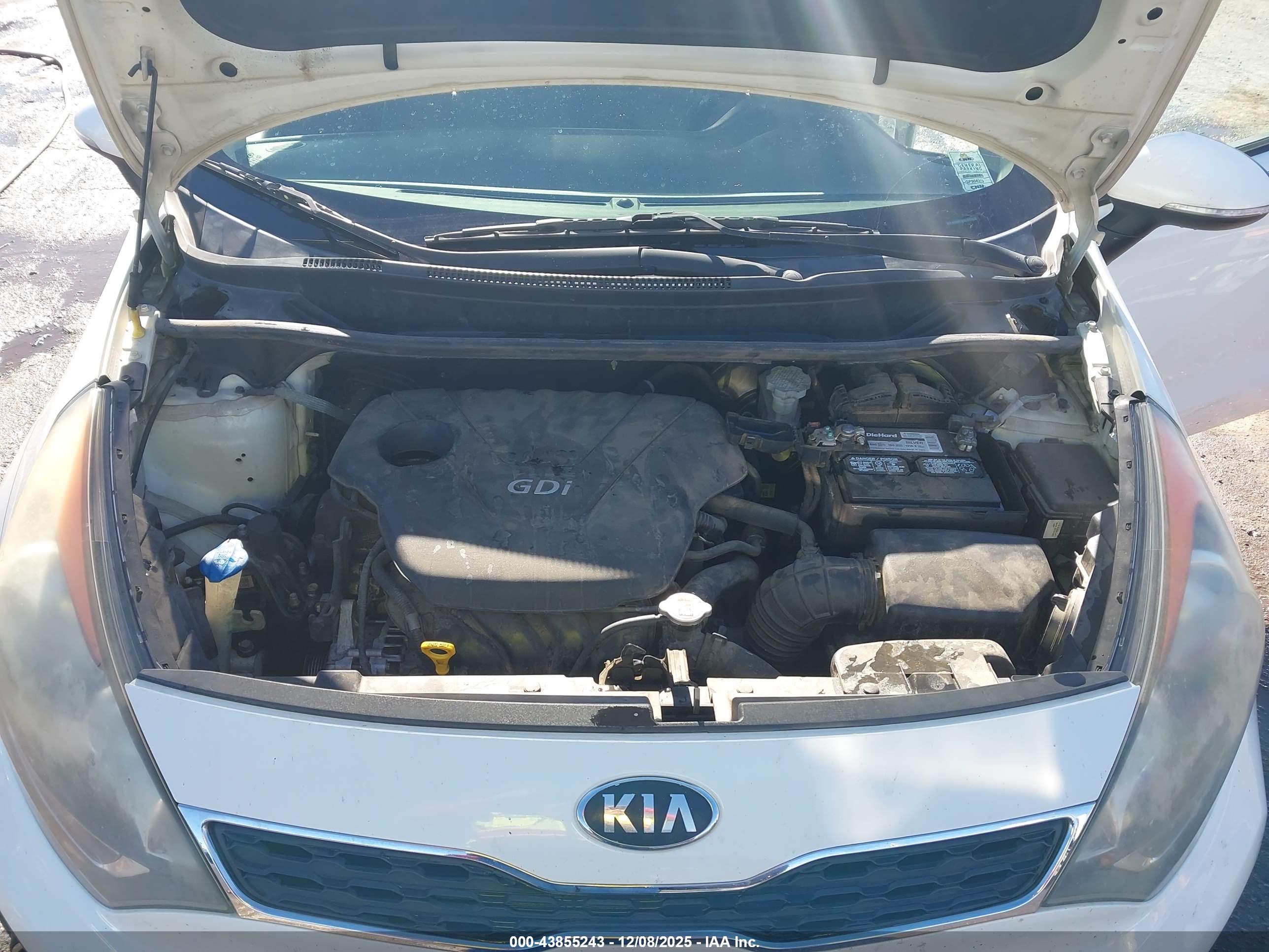 KIA RIO image 10