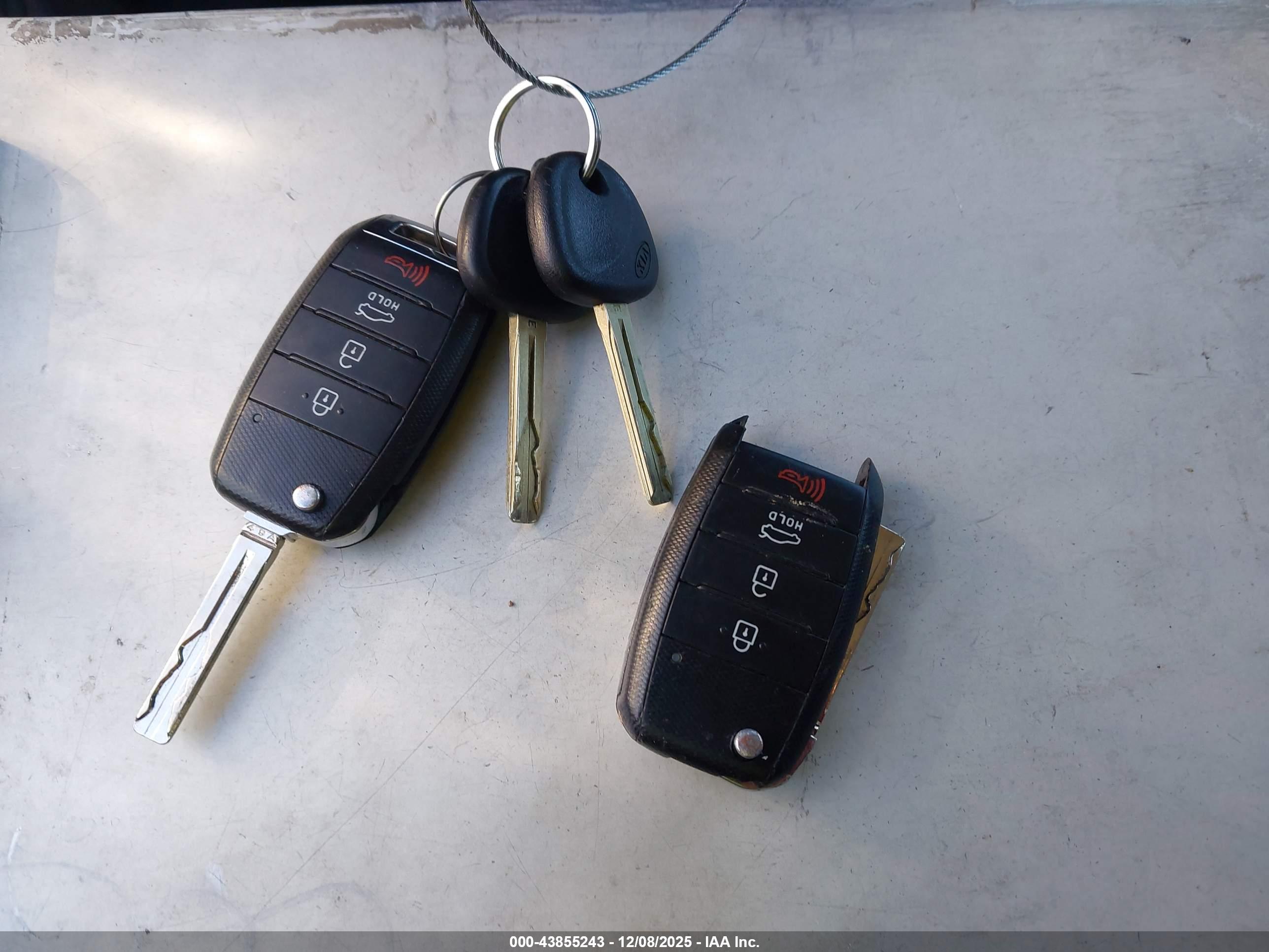 KIA RIO image 11