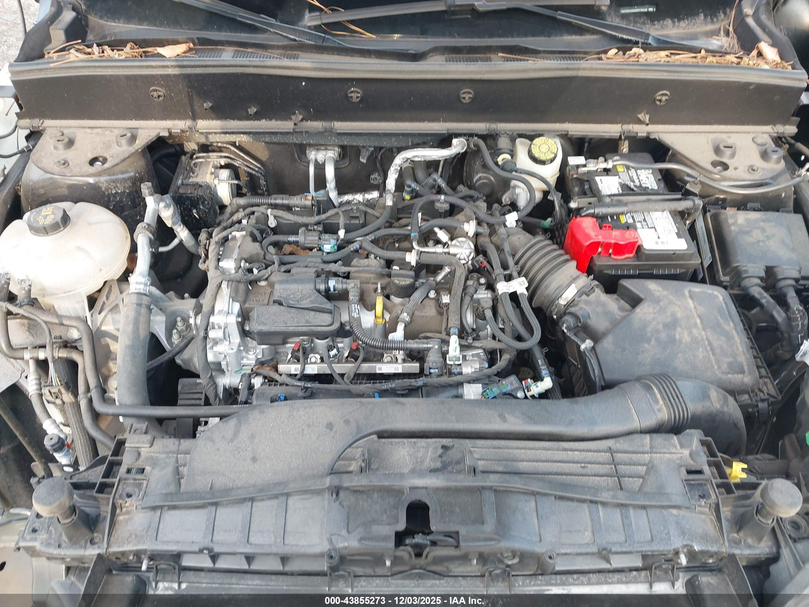 FORD BRONCO image 10