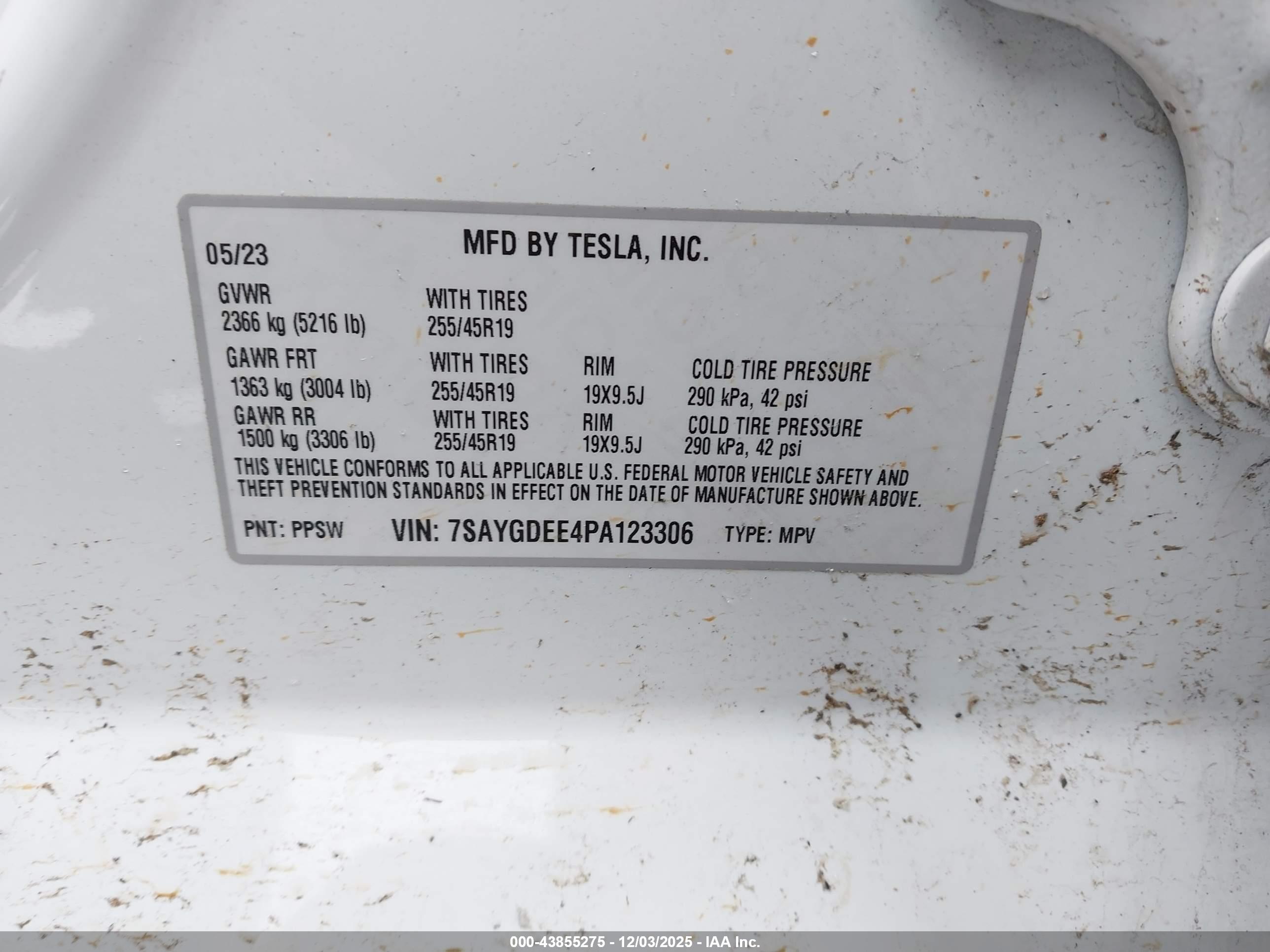 TESLA MODEL image 9