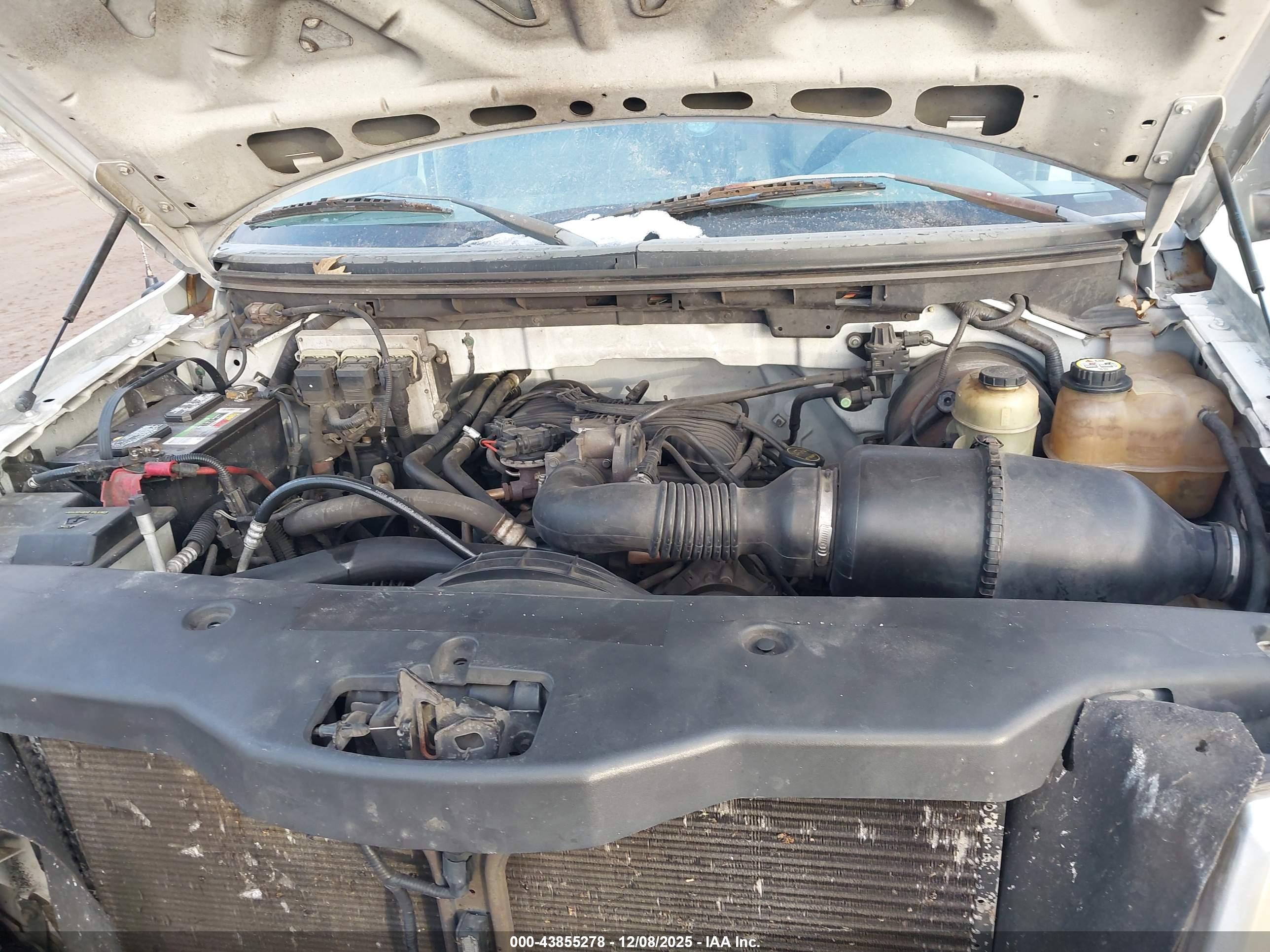FORD F-150 image 10