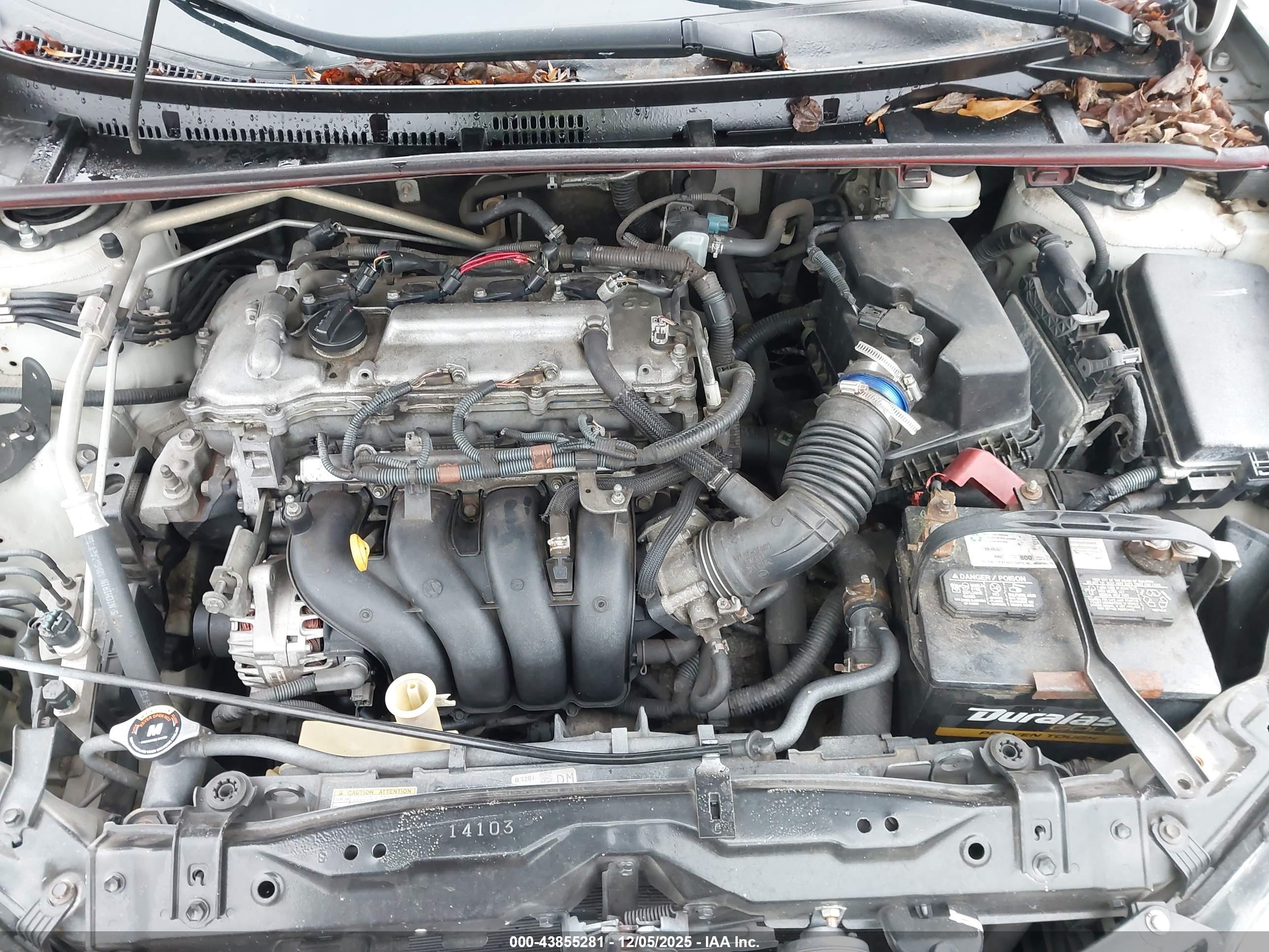 TOYOTA COROLLA image 10
