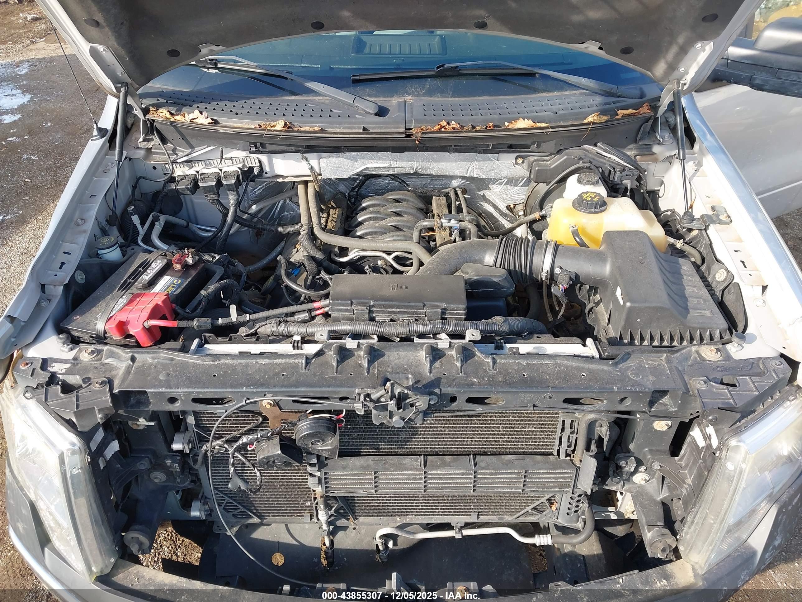 FORD F-150 image 10