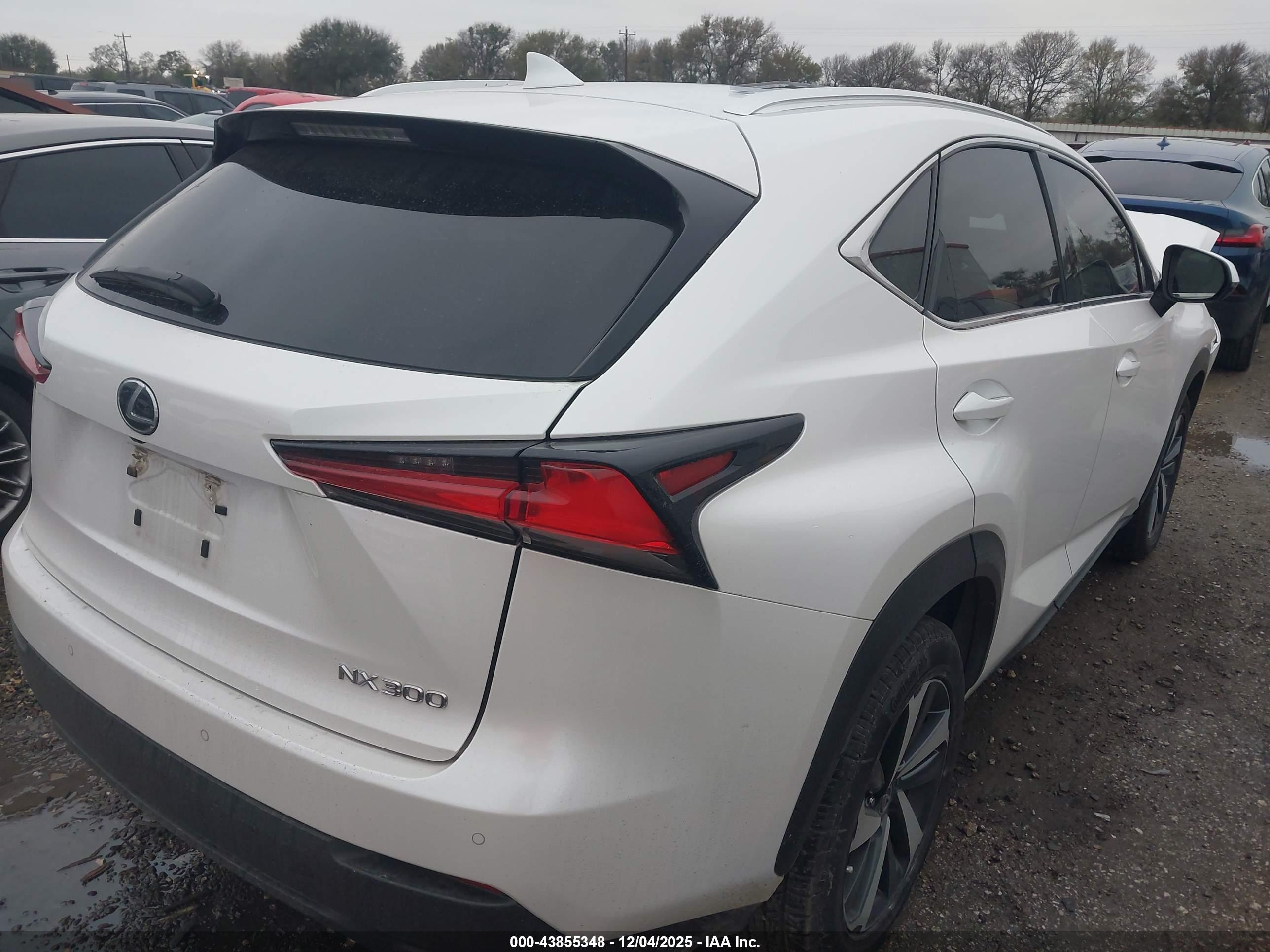 LEXUS NX image 4