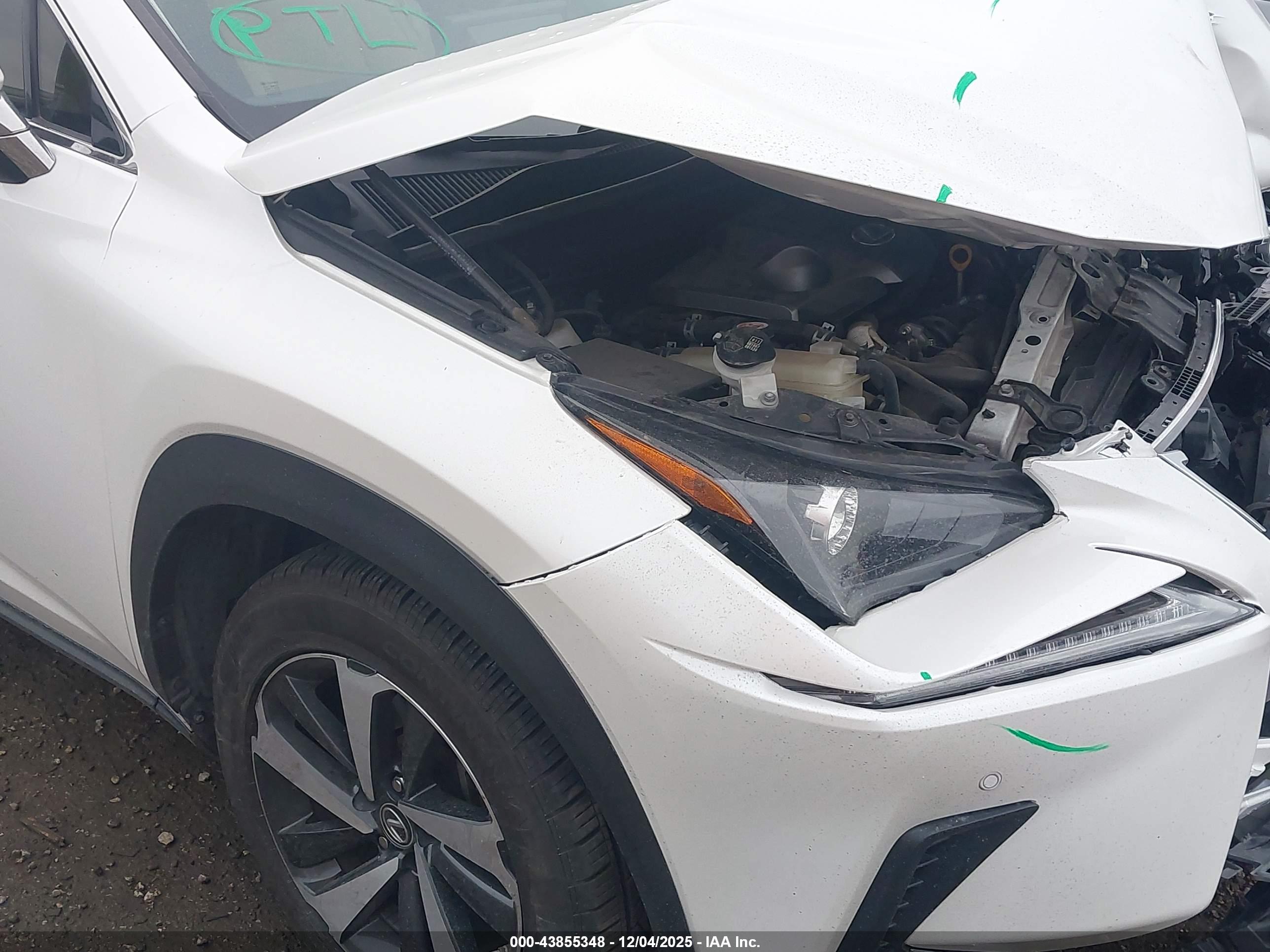 LEXUS NX image 6