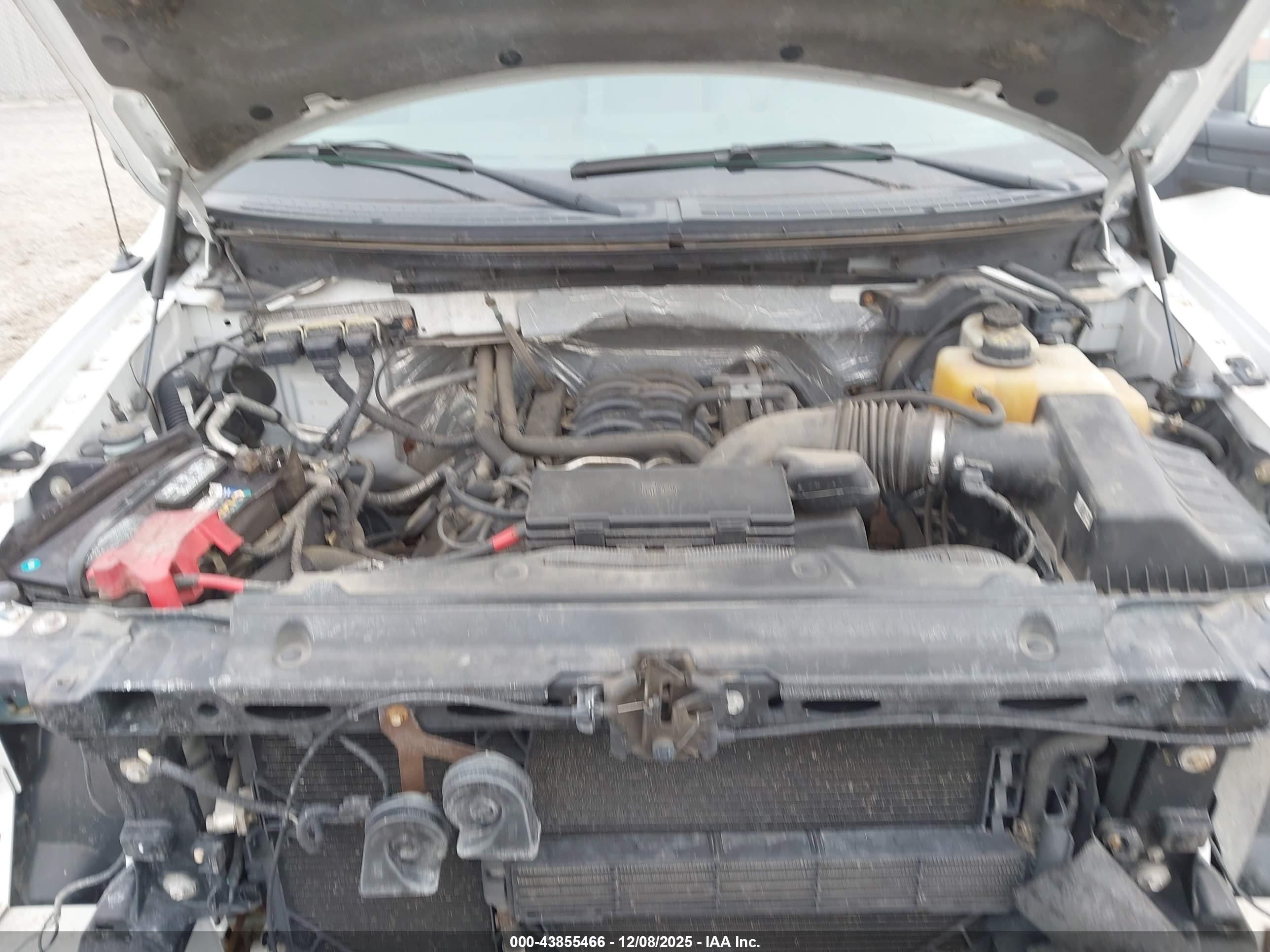 FORD F-150 image 10