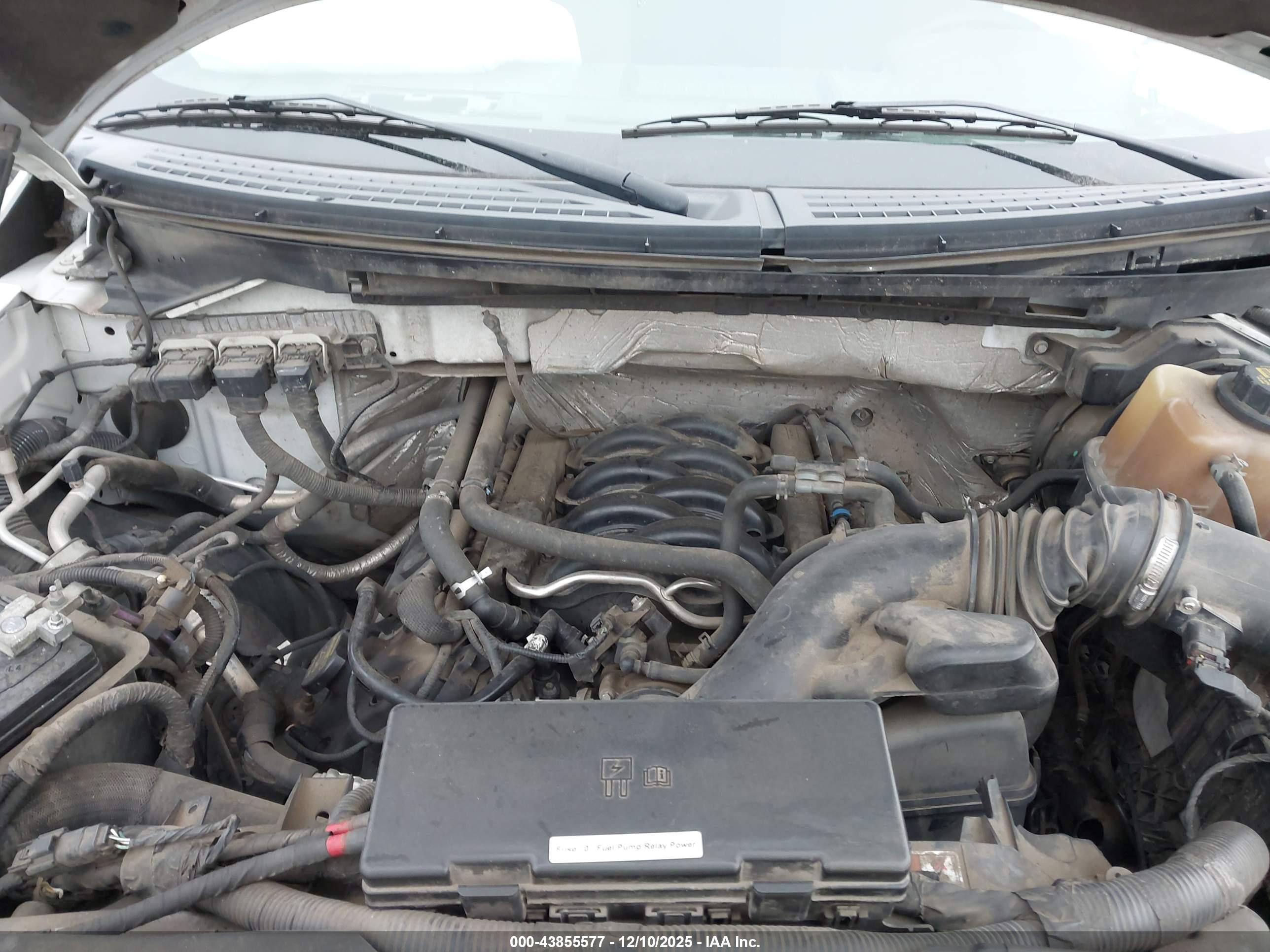FORD F-150 image 10