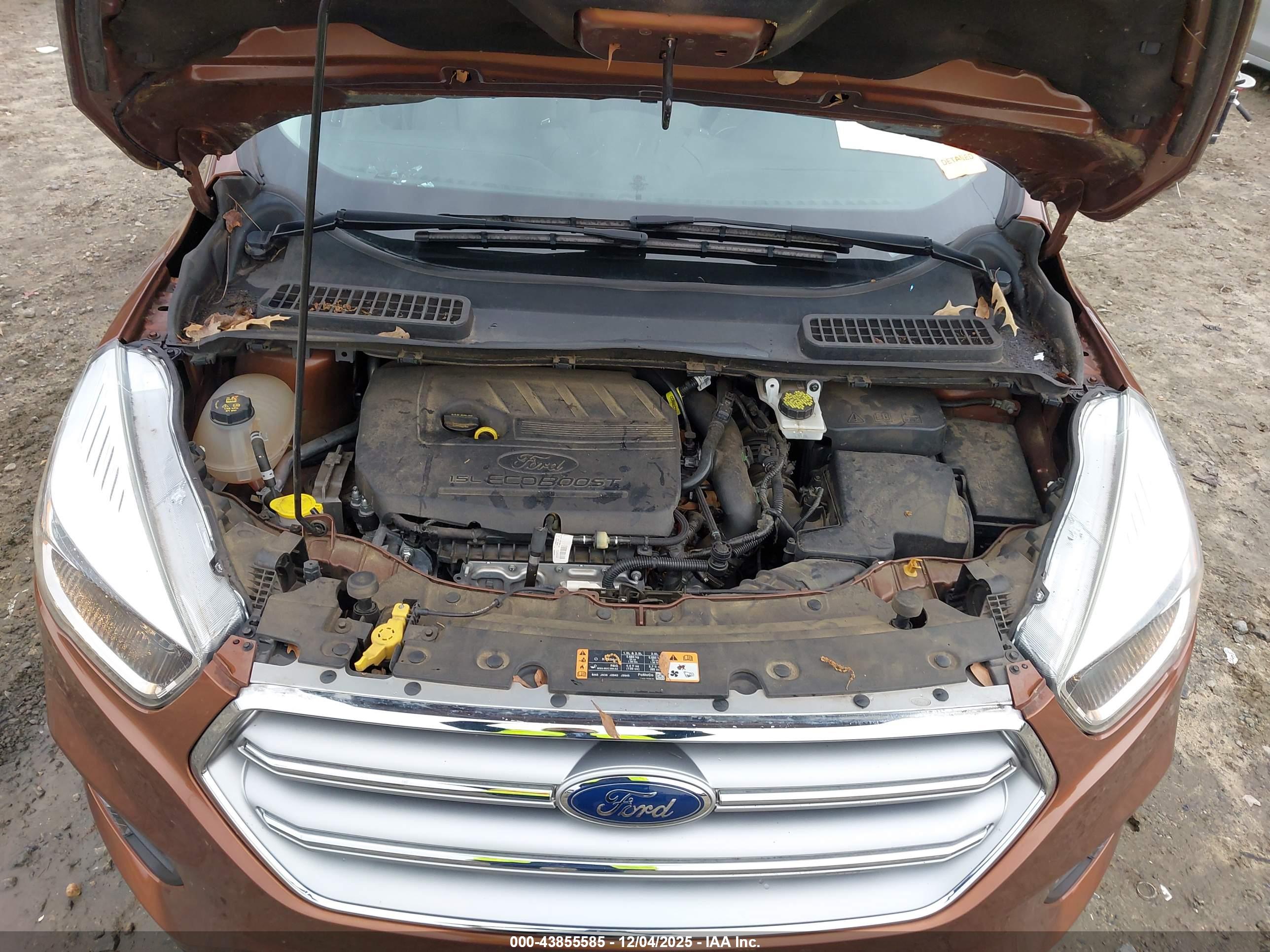 FORD ESCAPE image 10