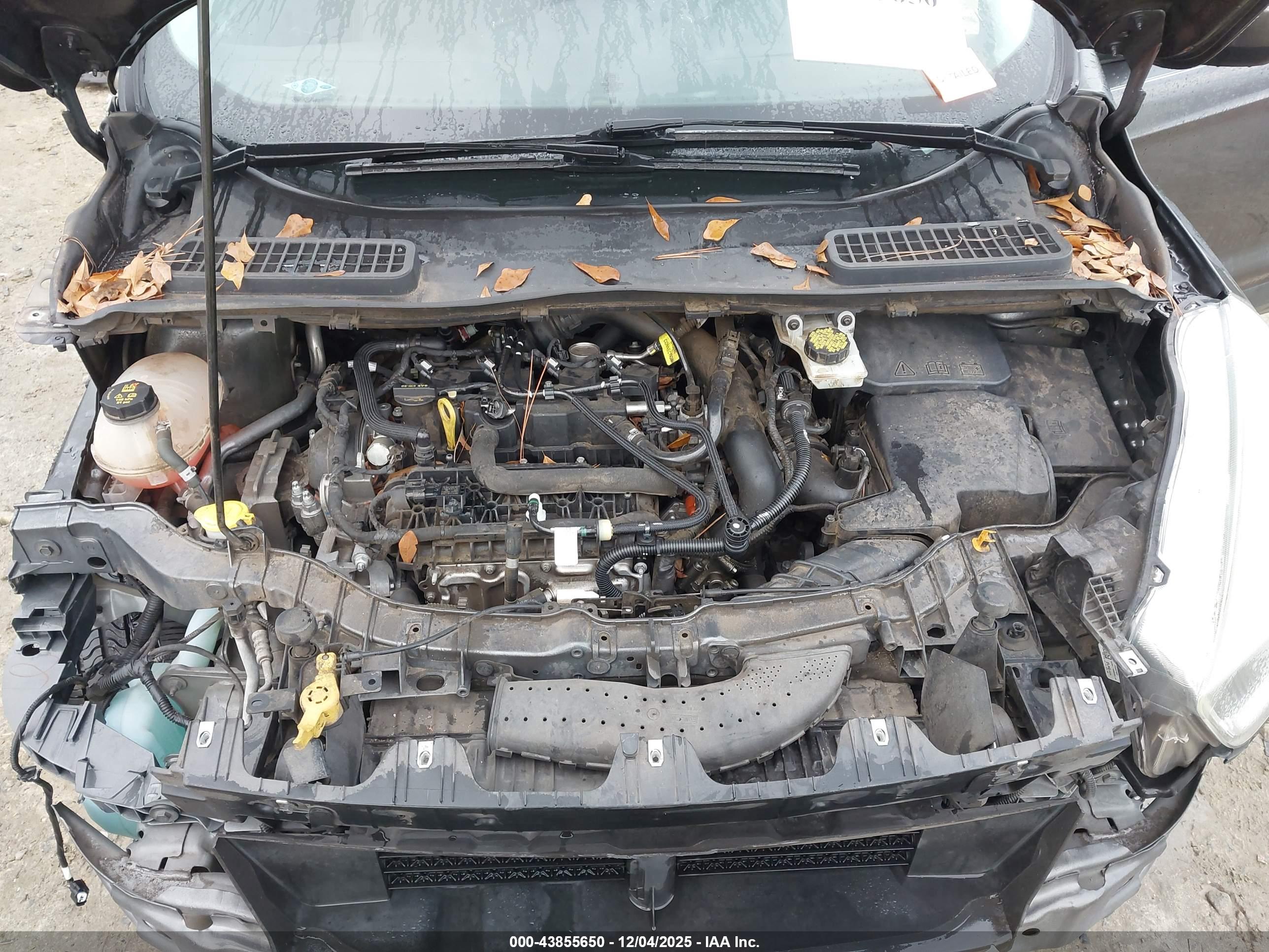 FORD ESCAPE image 10
