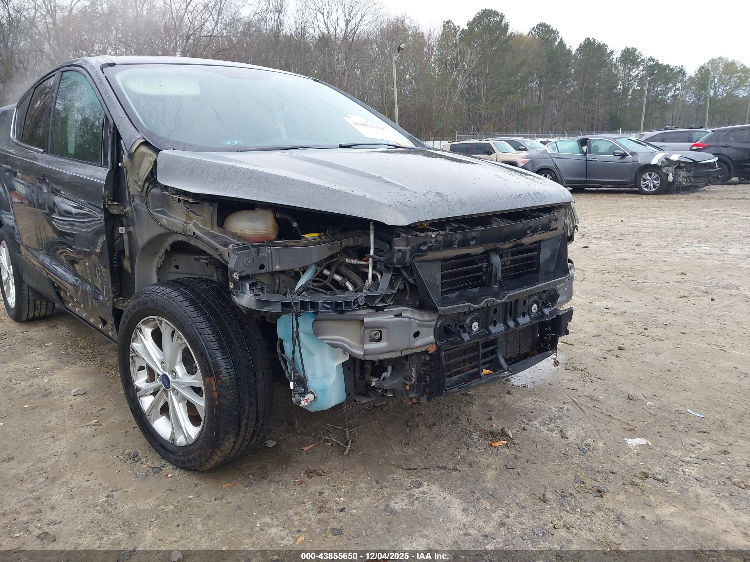 FORD ESCAPE image 6