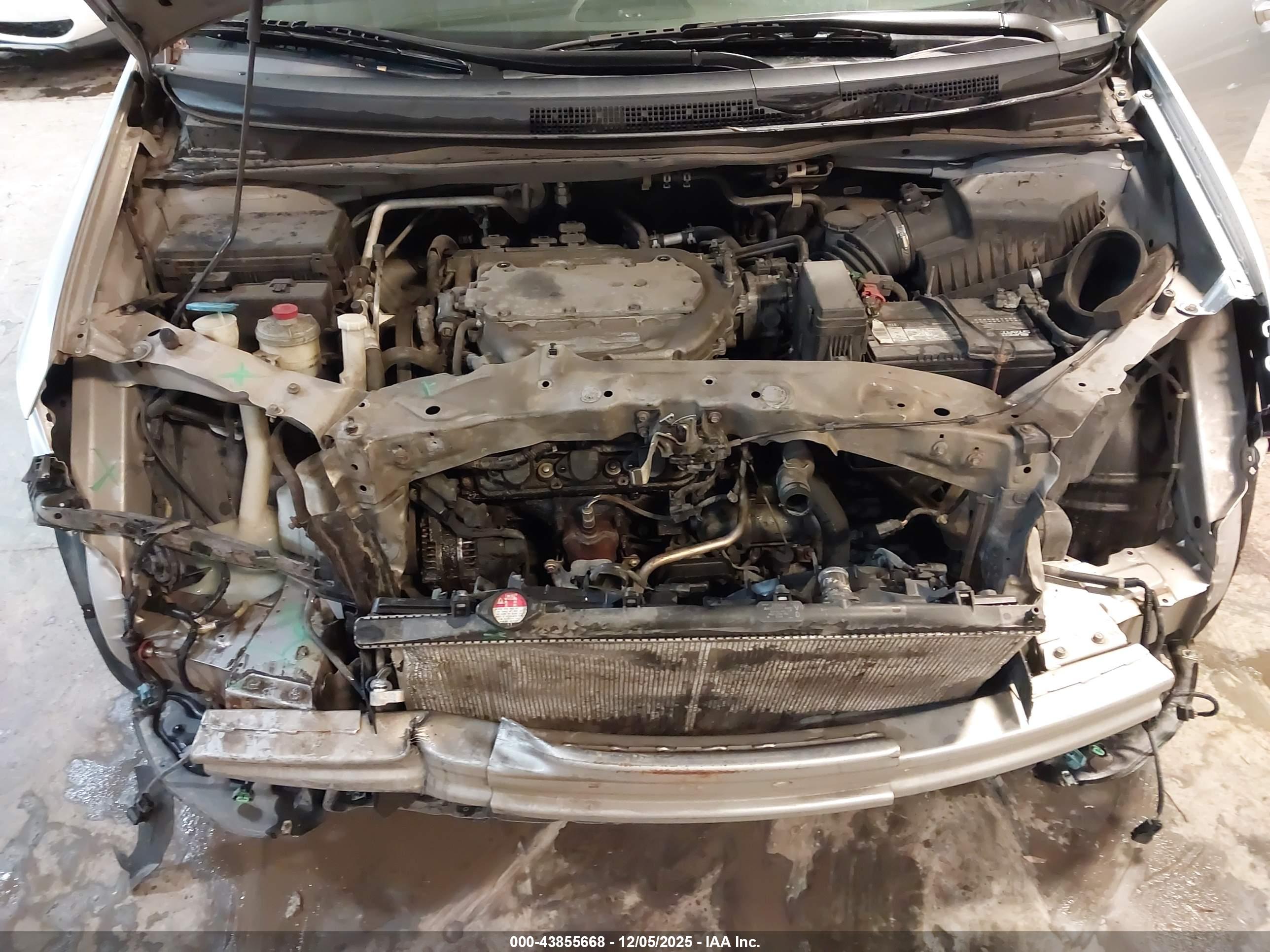 HONDA ODYSSEY image 10