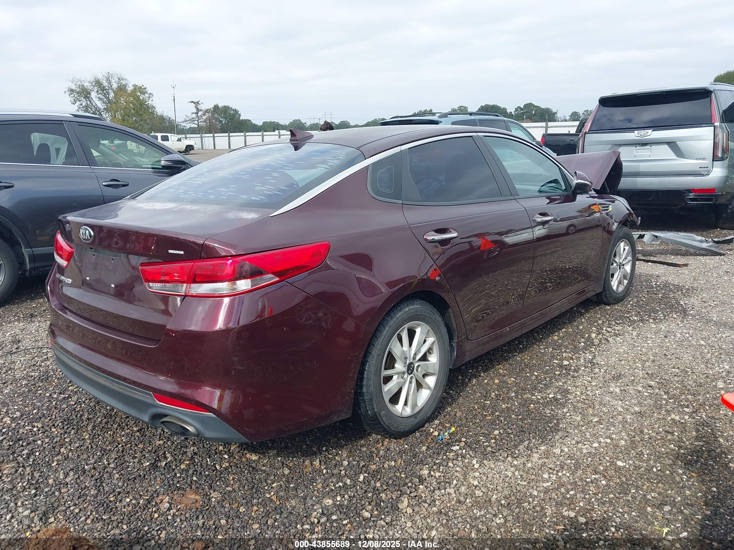 KIA OPTIMA image 4