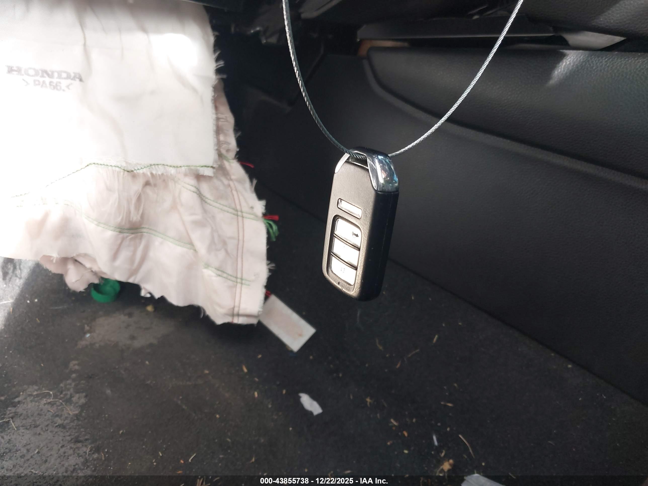 HONDA ACCORD image 11