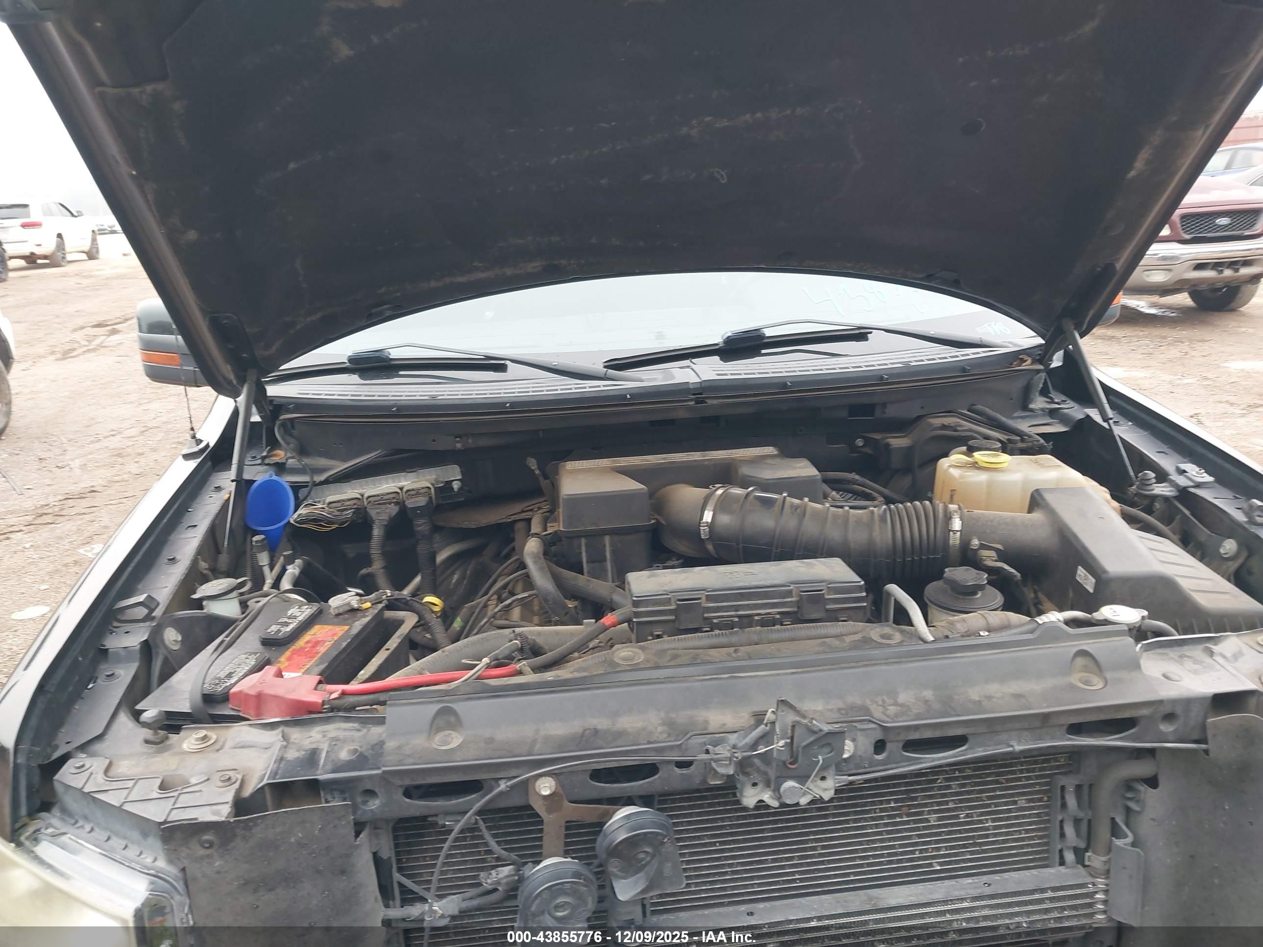 FORD F-150 image 10