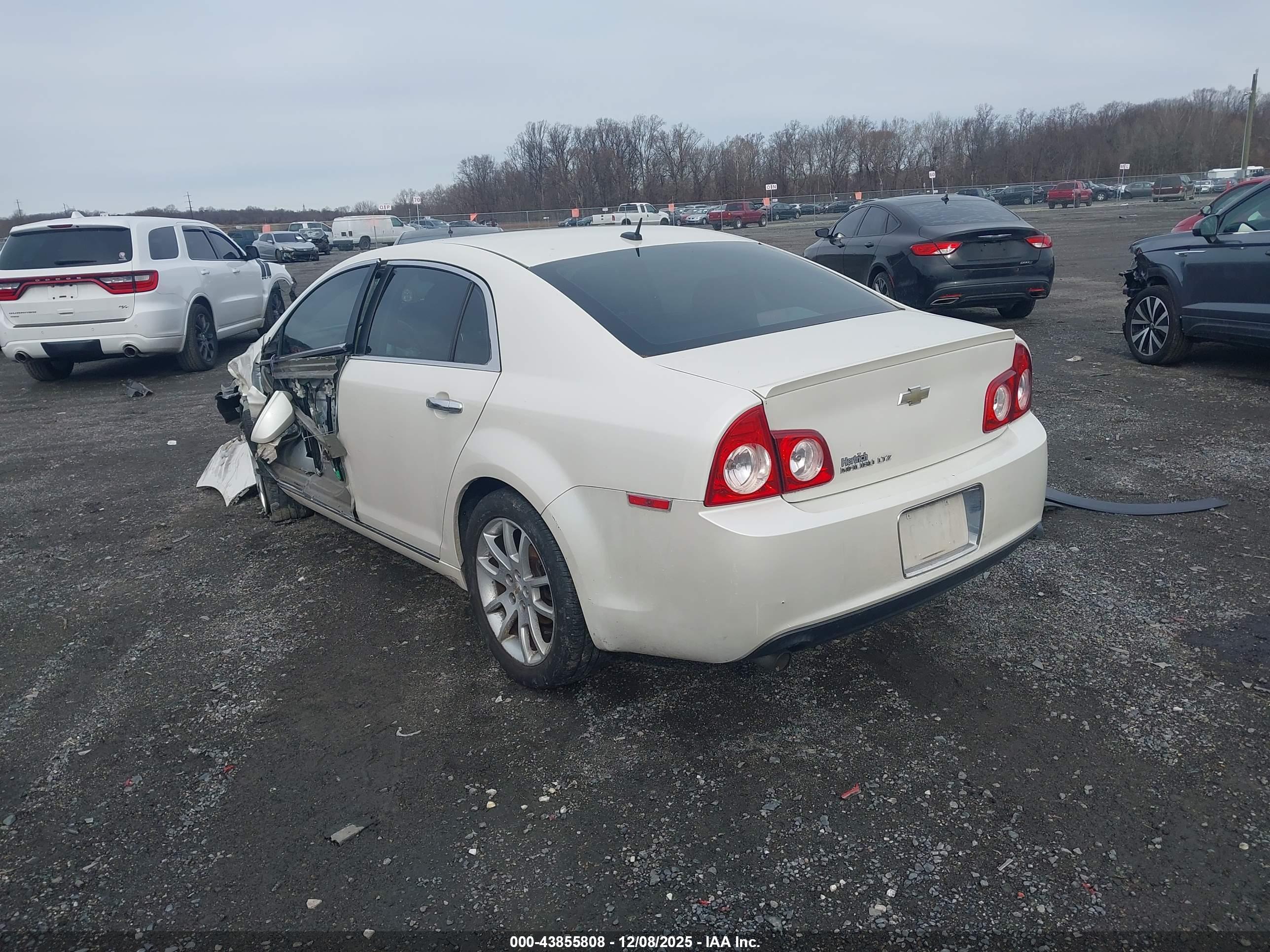 CHEVROLET MALIBU image 3