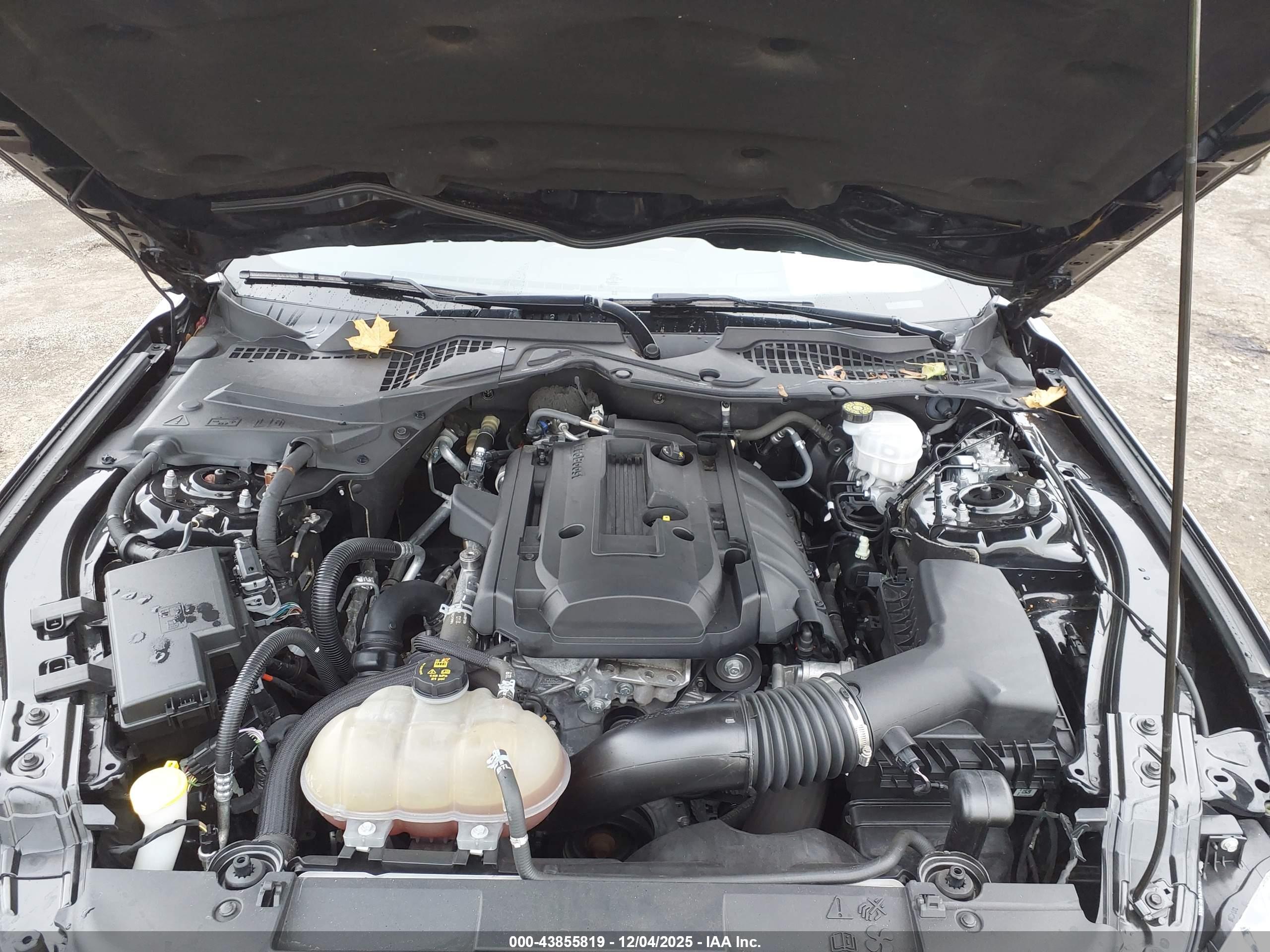 FORD MUSTANG image 10
