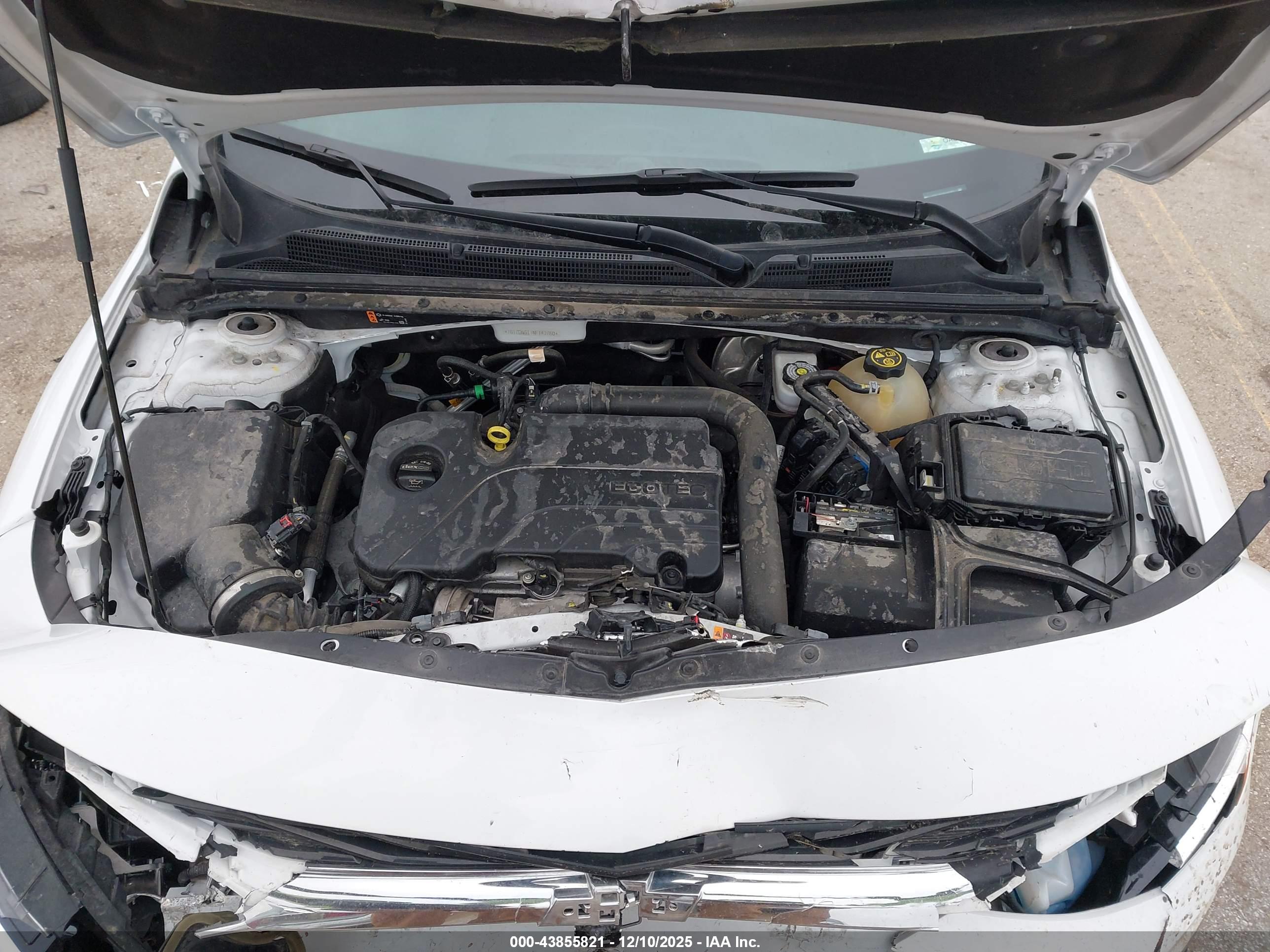CHEVROLET MALIBU image 10