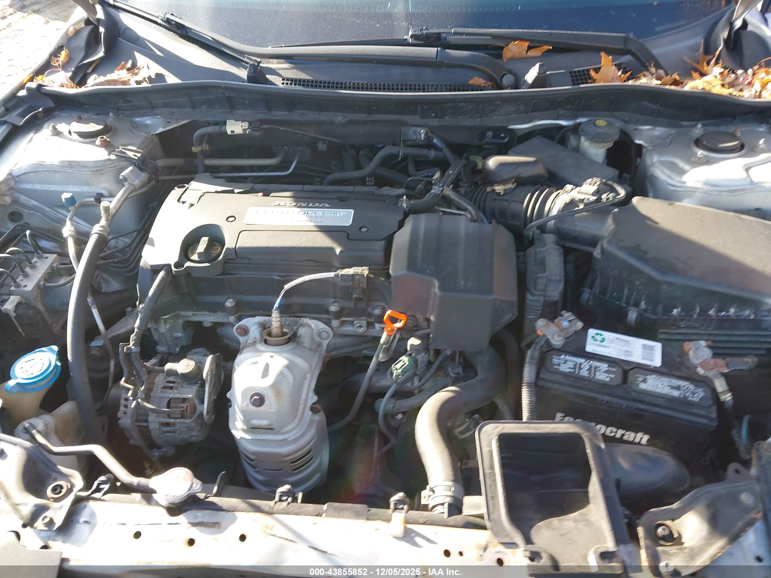 HONDA ACCORD image 10