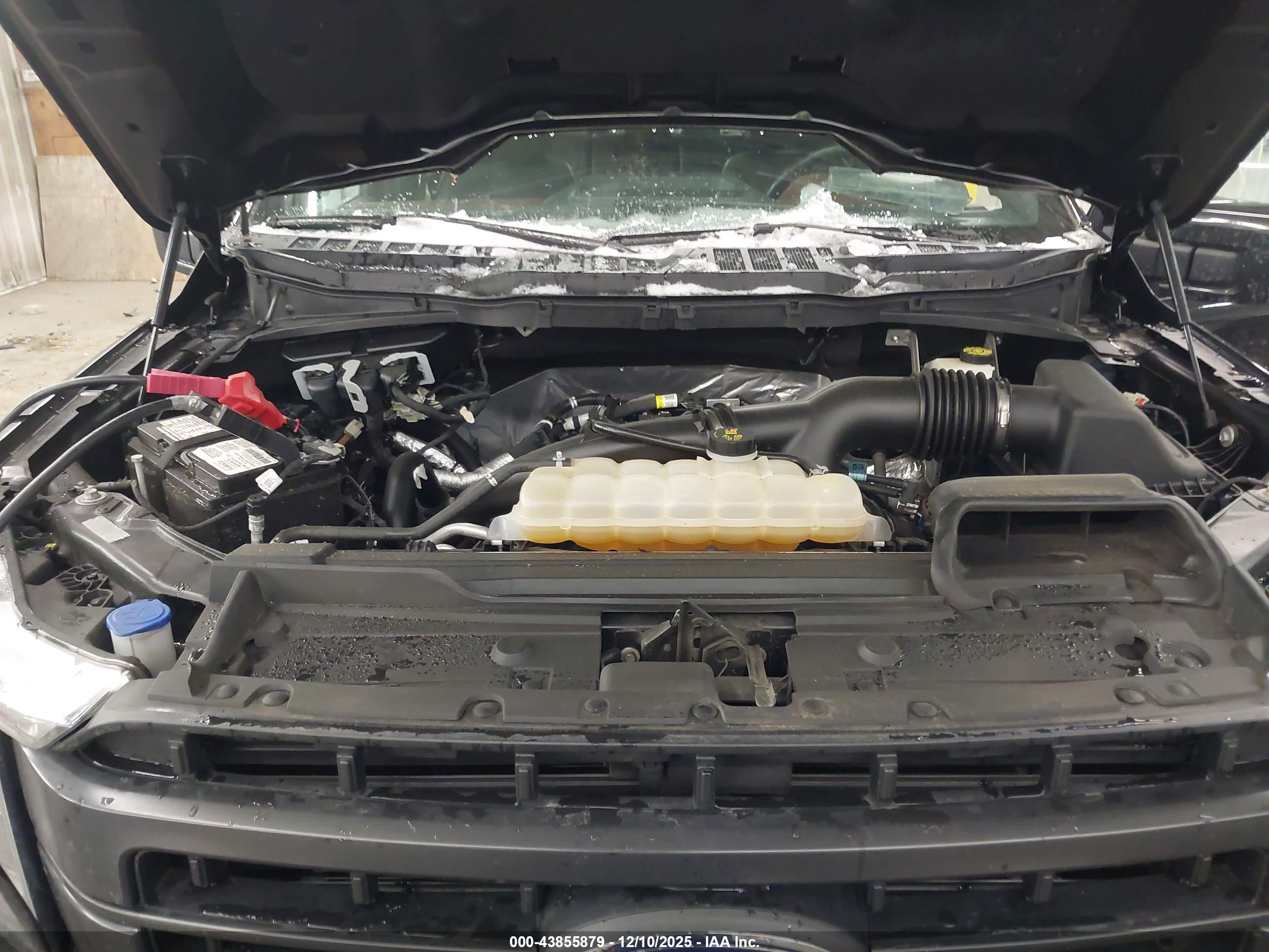 FORD F-150 image 10