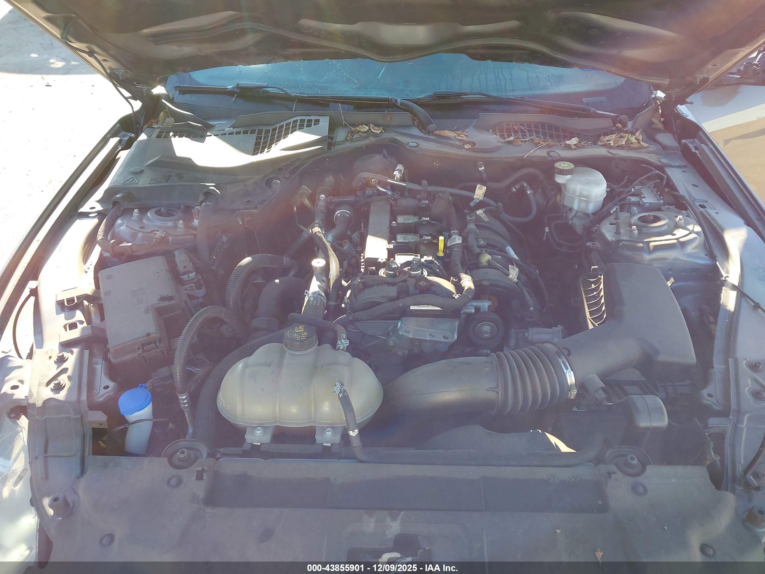 FORD MUSTANG image 10