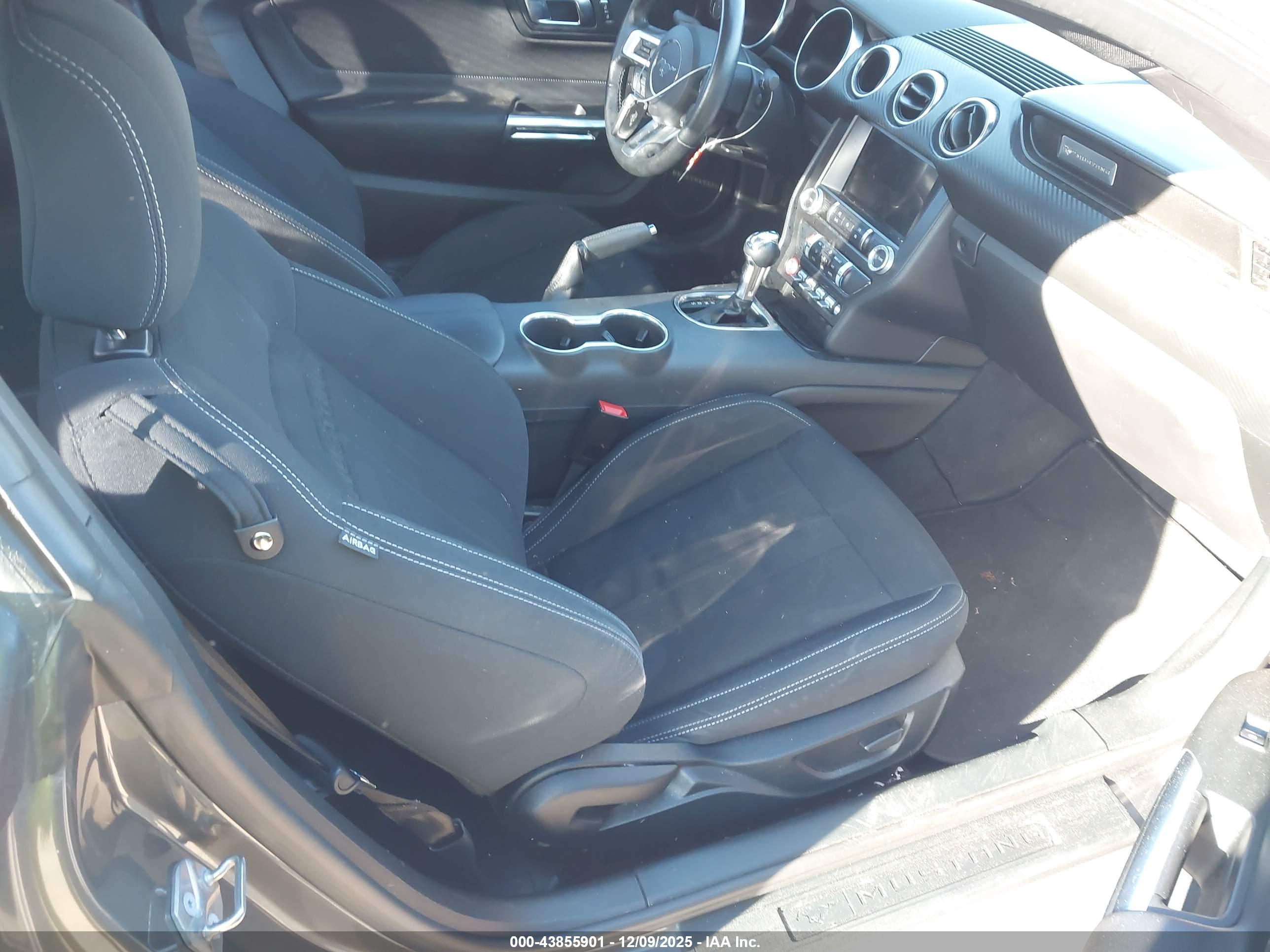 FORD MUSTANG image 5