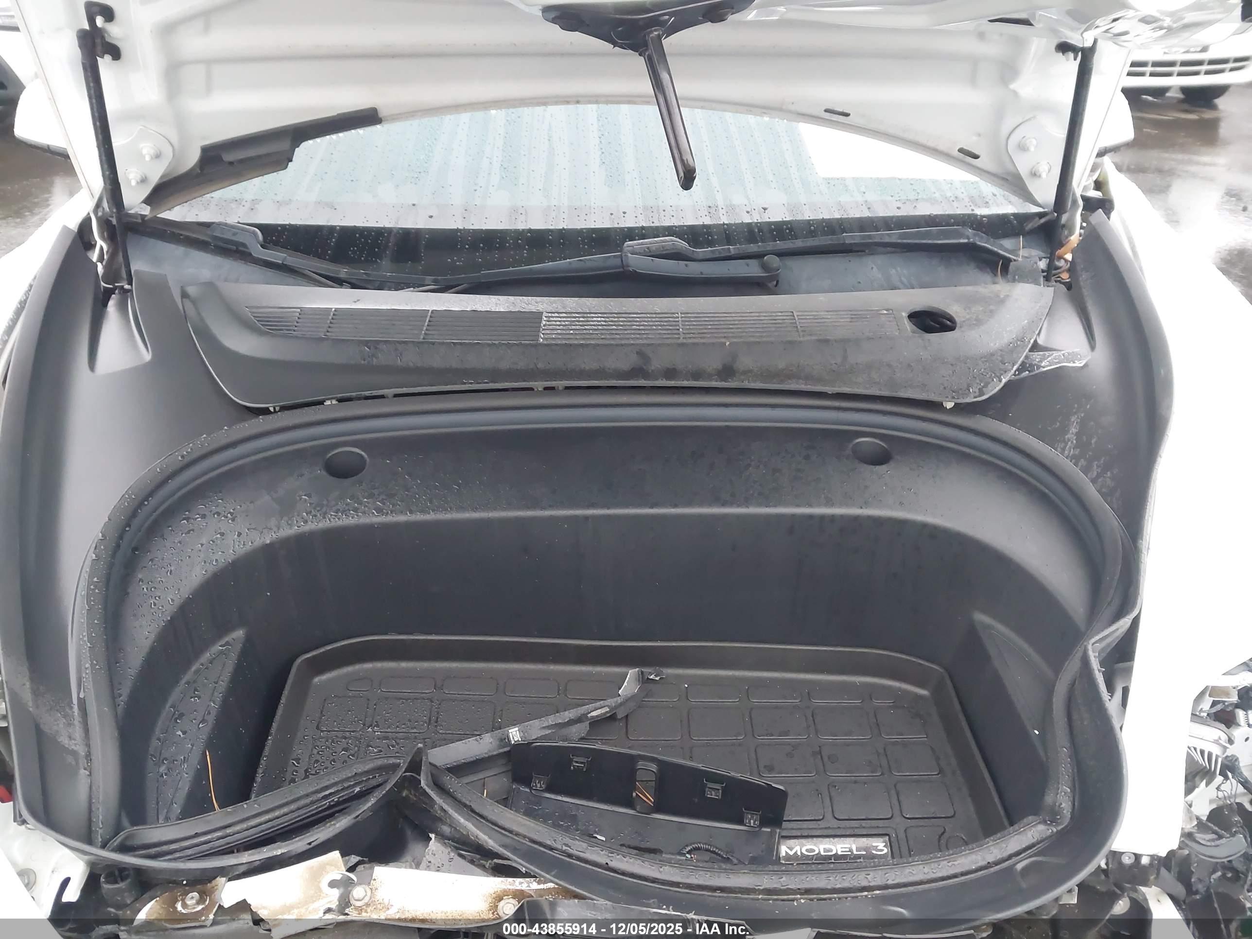 TESLA MODEL image 10