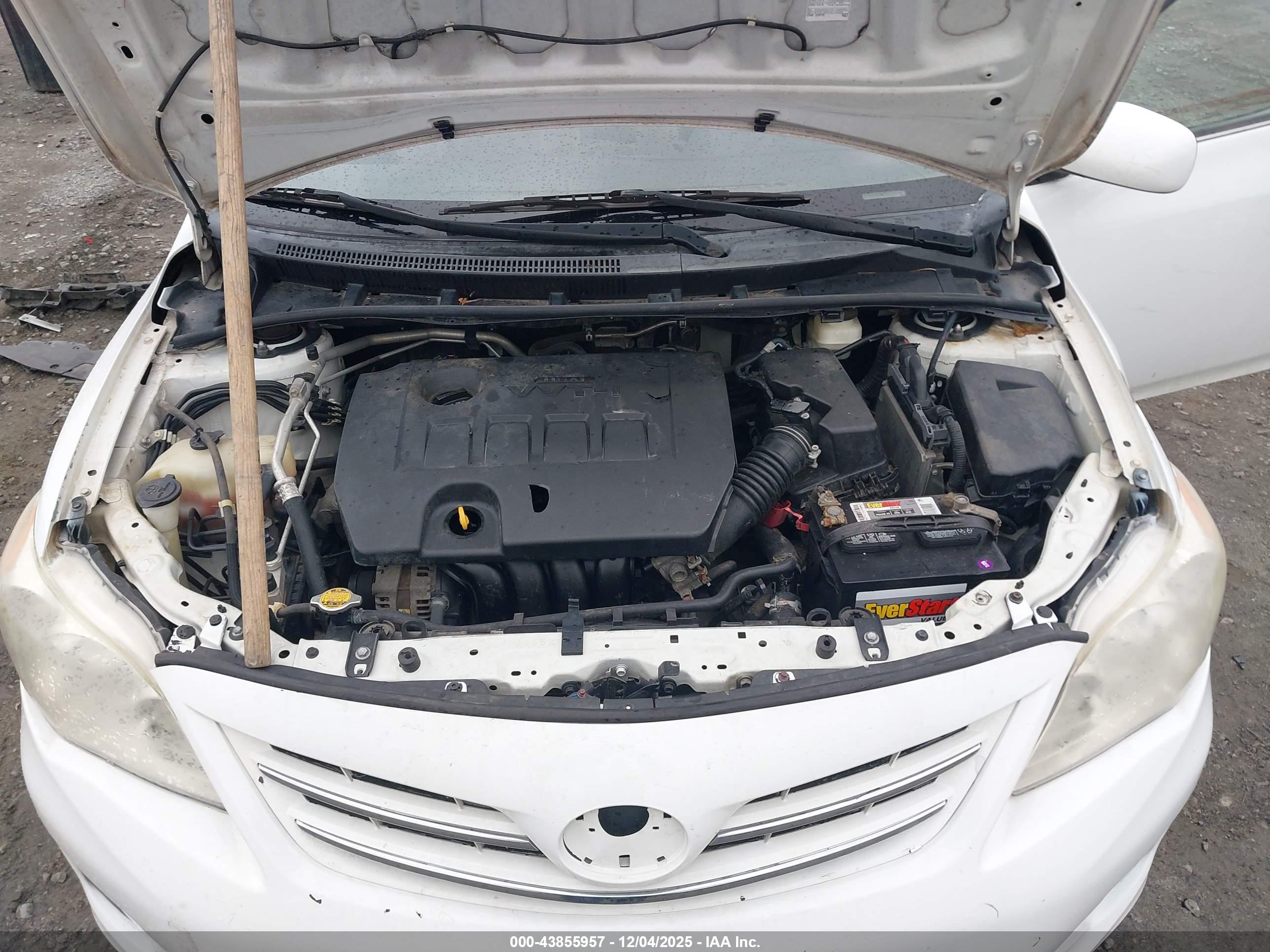 TOYOTA COROLLA image 10