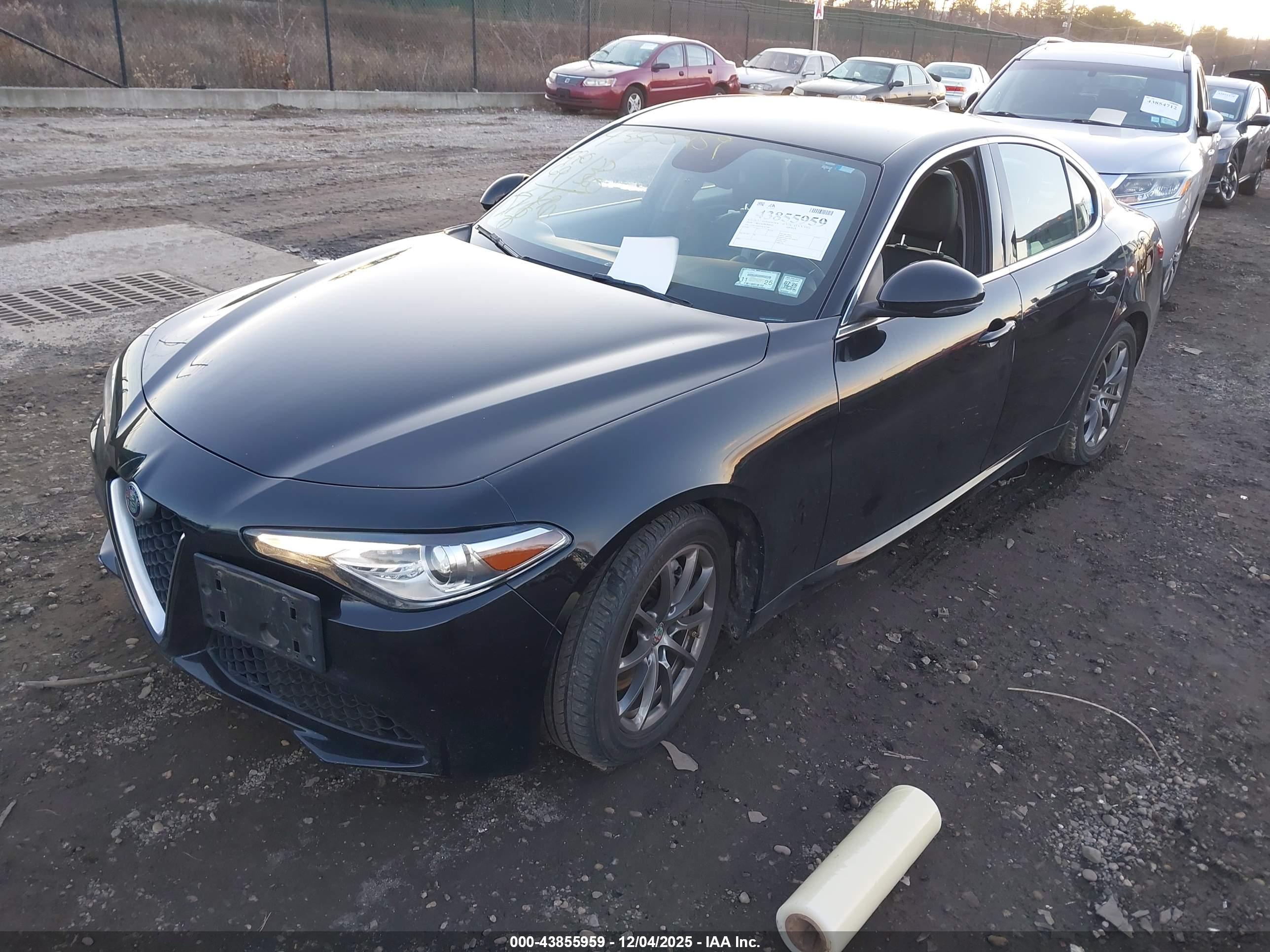 ALFA ROMEO image 2