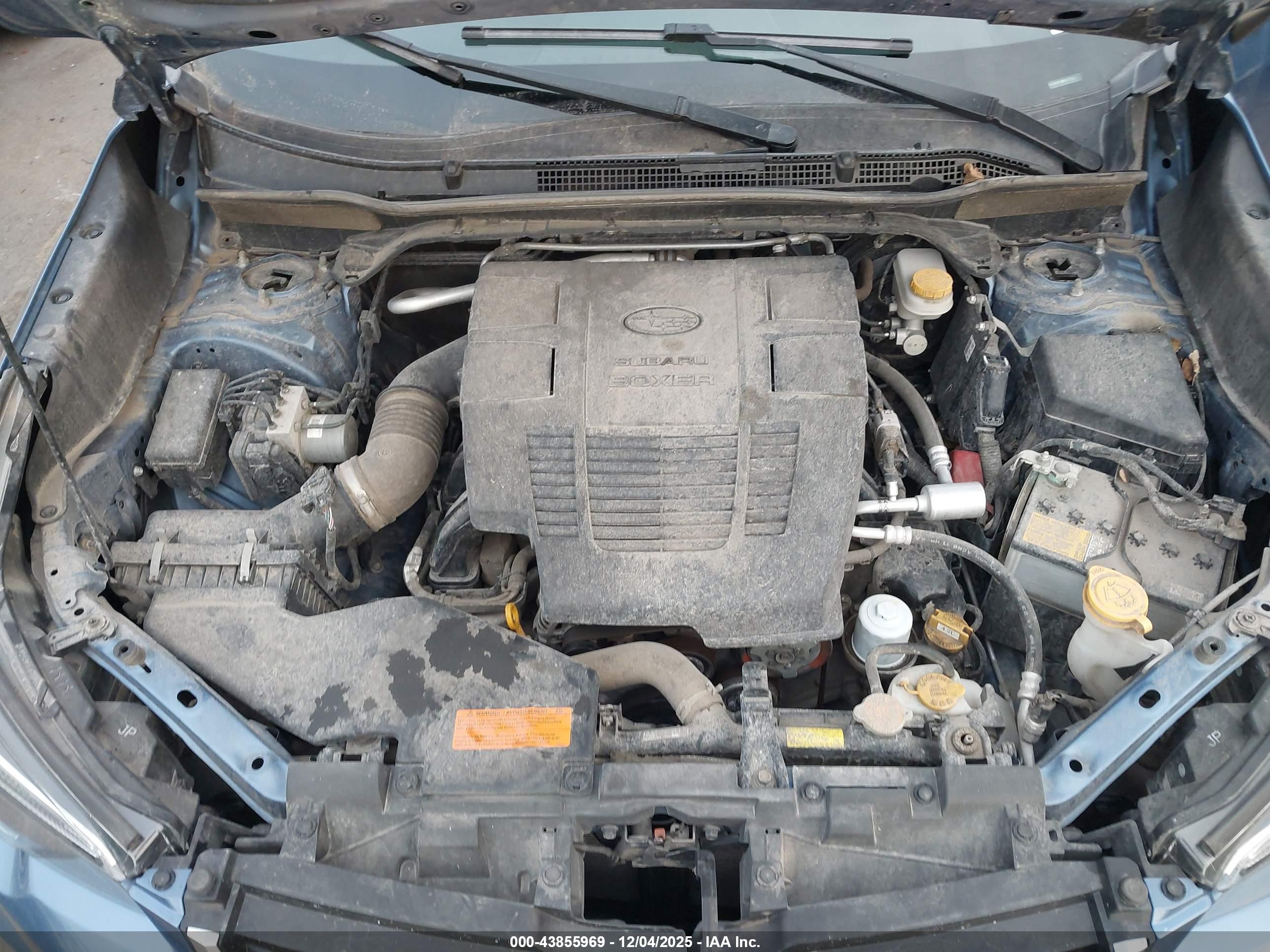 SUBARU FORESTER image 10