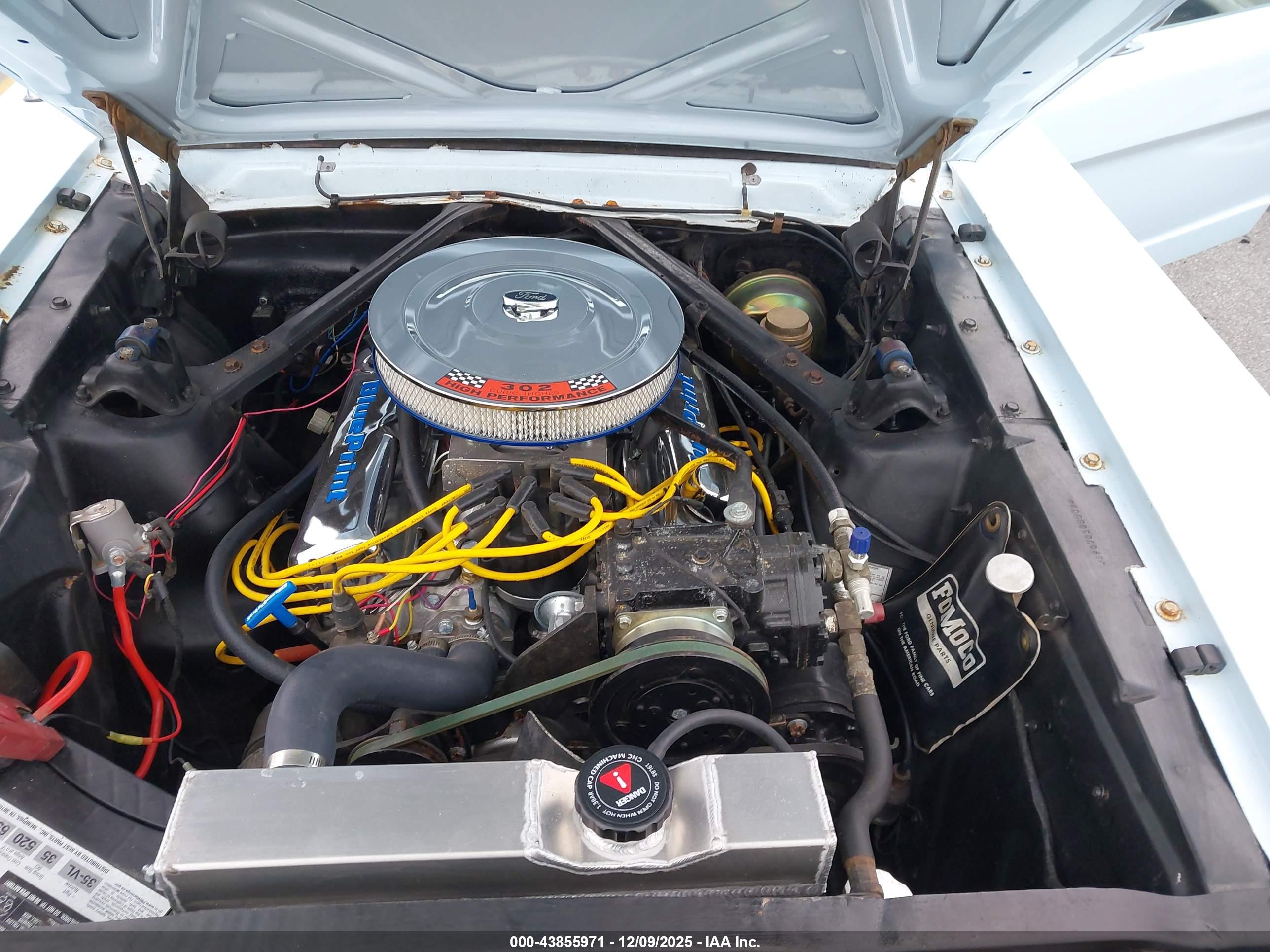 FORD MUSTANG image 10